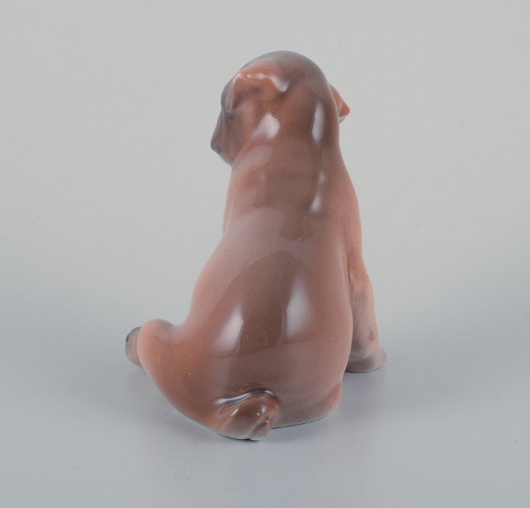 Royal Copenhagen, porcelain figurine of a boxer puppy. - 4