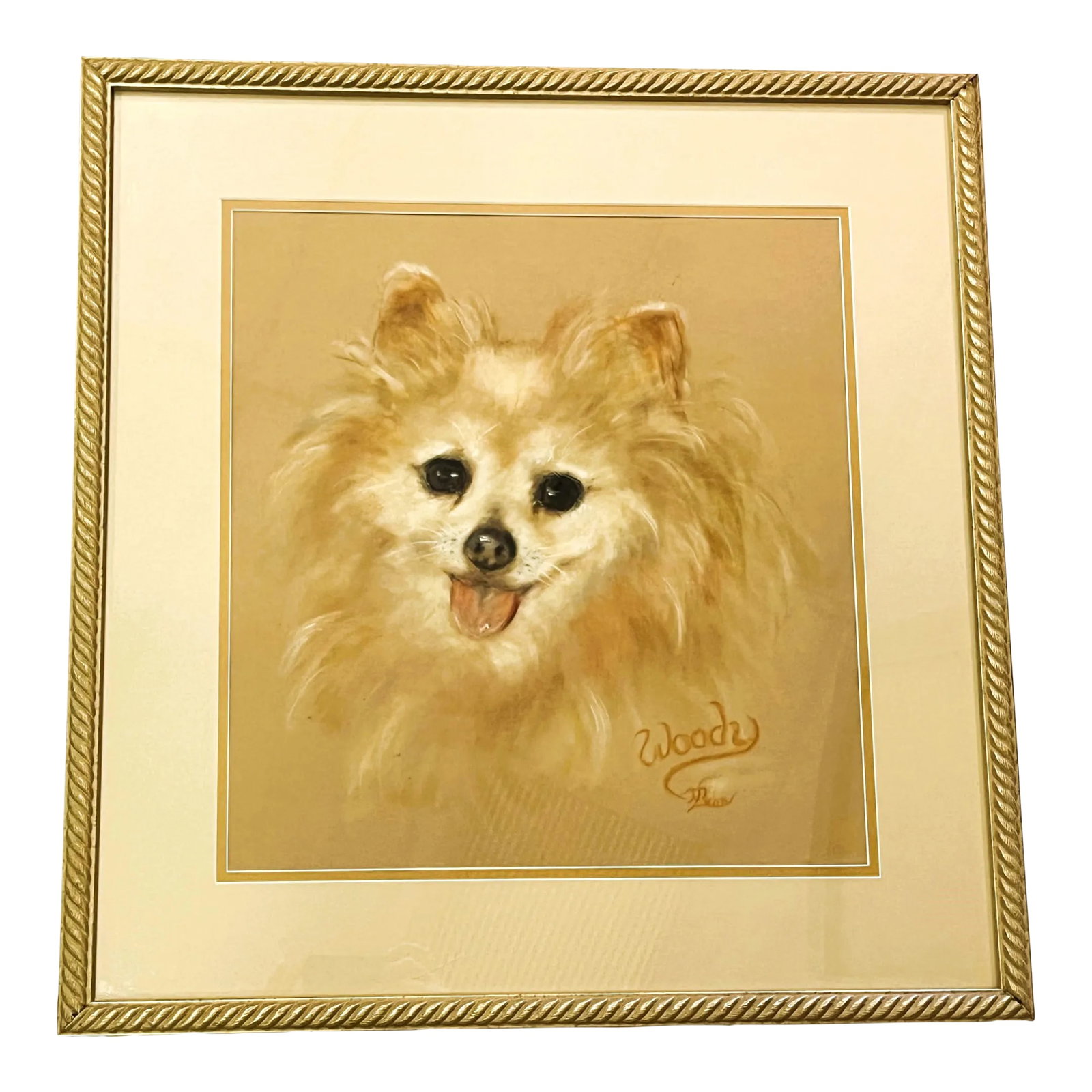 Framed Signed Original Pastel Portrait of a Happy Pomeranian: Adorable original framed pastel portrait art on paper. It depicts a happy Pomeranian smiling with a glint of joy in his eye. It is signed illegibly in the bottom right corner, and the name 'Woody'
