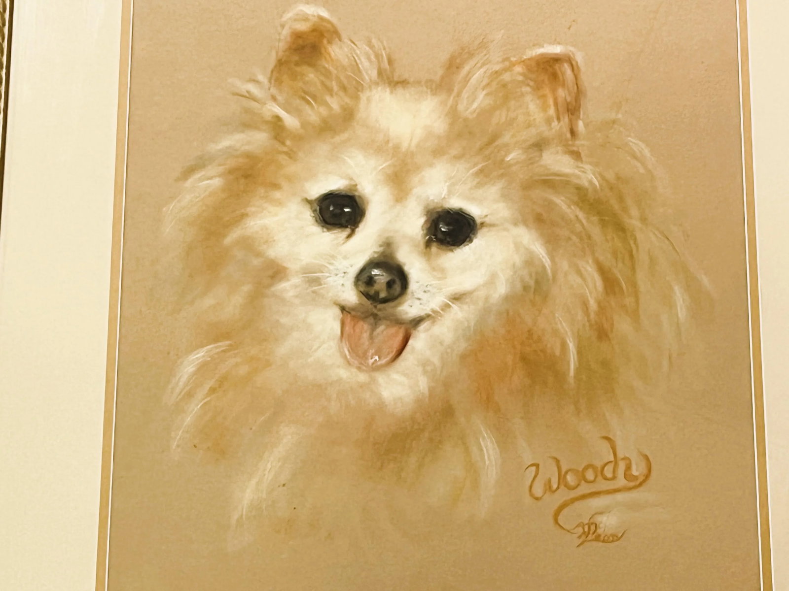 Framed Signed Original Pastel Portrait of a Happy Pomeranian - 2