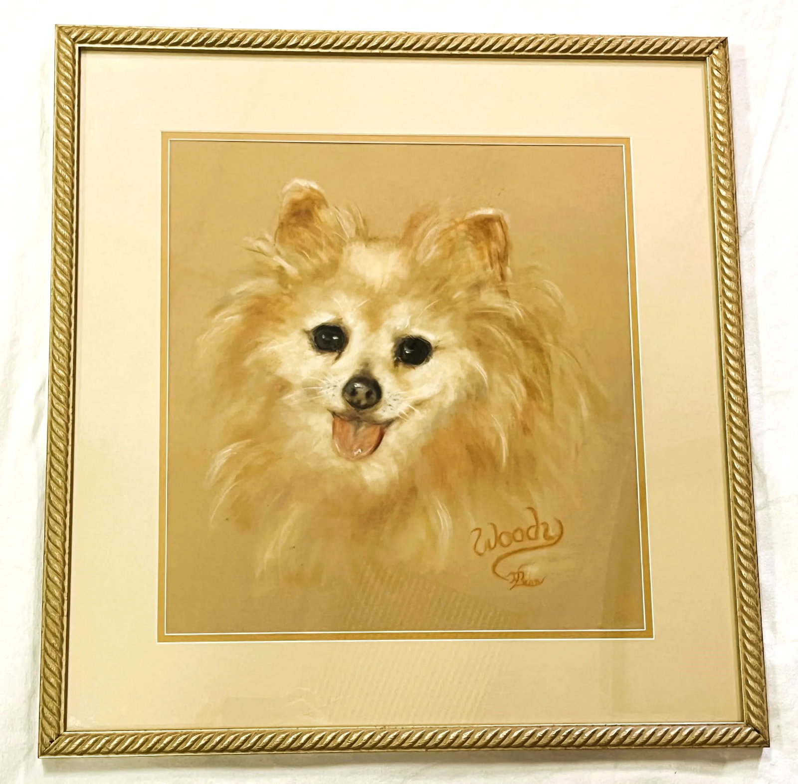 Framed Signed Original Pastel Portrait of a Happy Pomeranian - 7