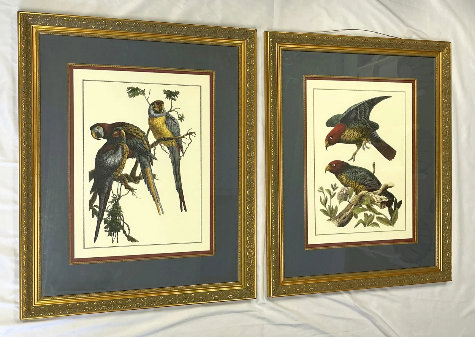Vintage Pair of Realistic Parrot Prints Framed Under Glass- a Pair - 9