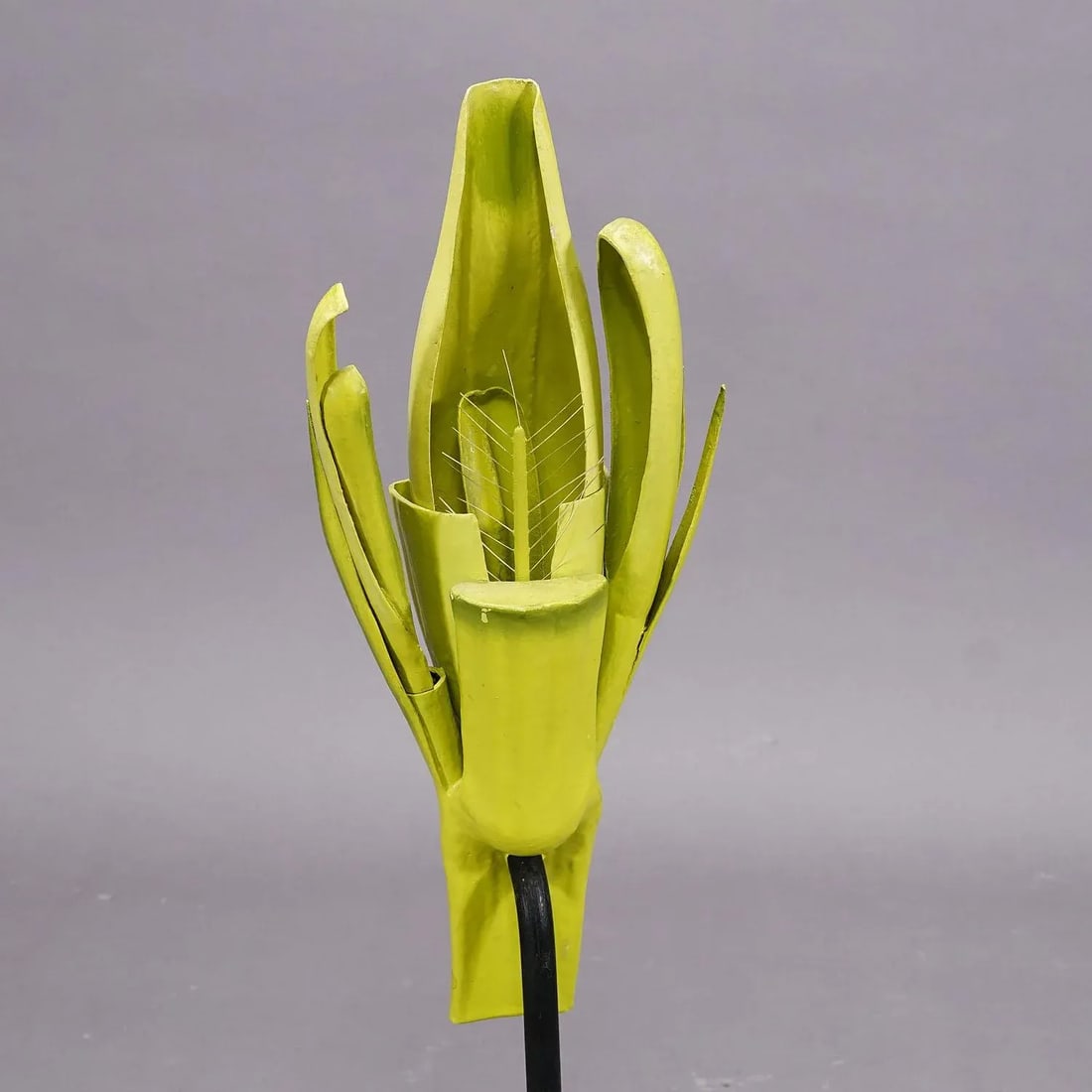 19th Century Botanic Model by Robert Brendel - Barley - 2