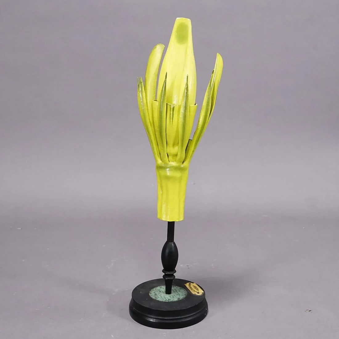 19th Century Botanic Model by Robert Brendel - Barley - 3