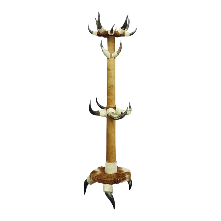 Antique Bull Horn Hall Stand With Cow Fur Ca. 1870 (1 of 4)