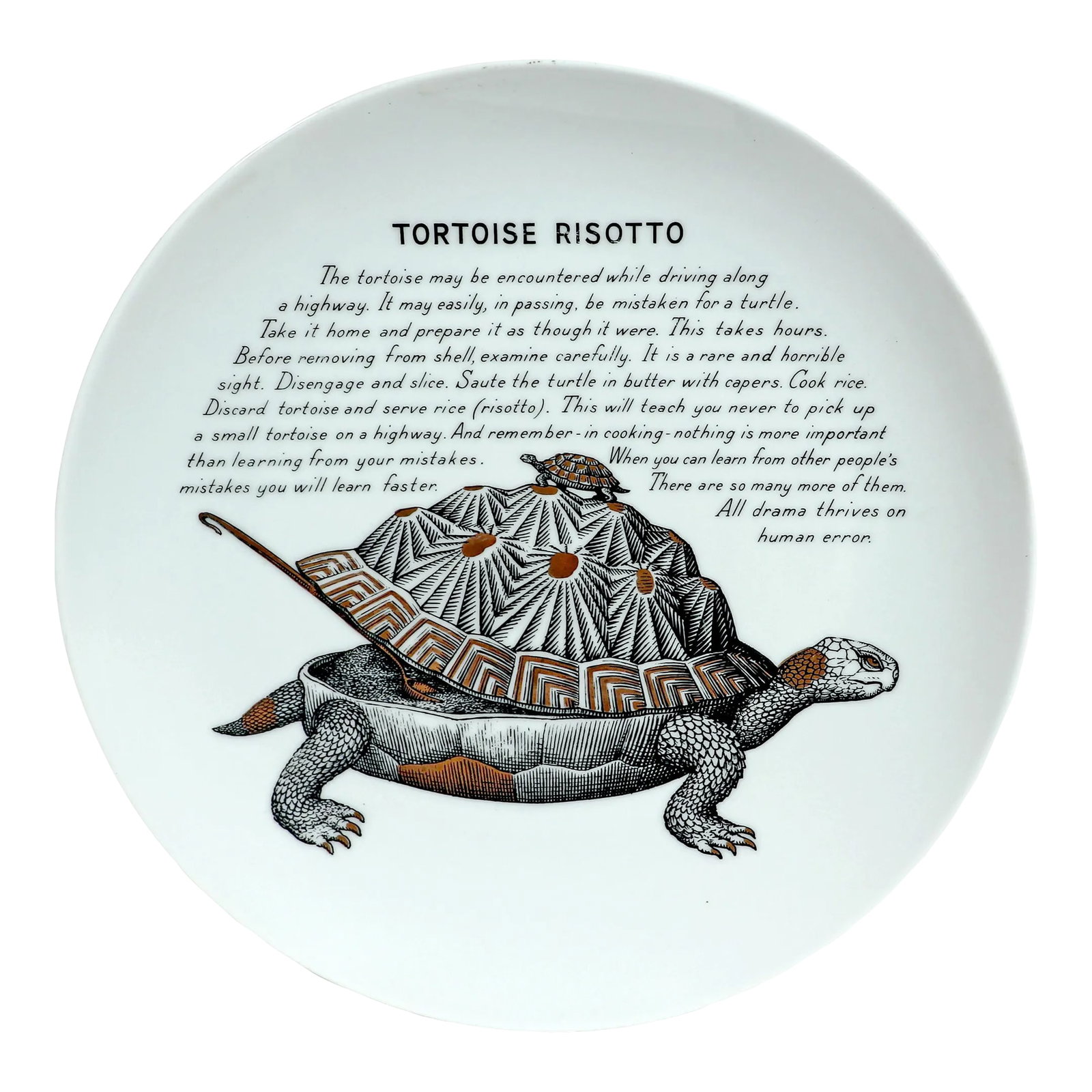 Piero Fornasetti Fleming Joffe Porcelain Plate-Tortoise Risotto (1 of 5)