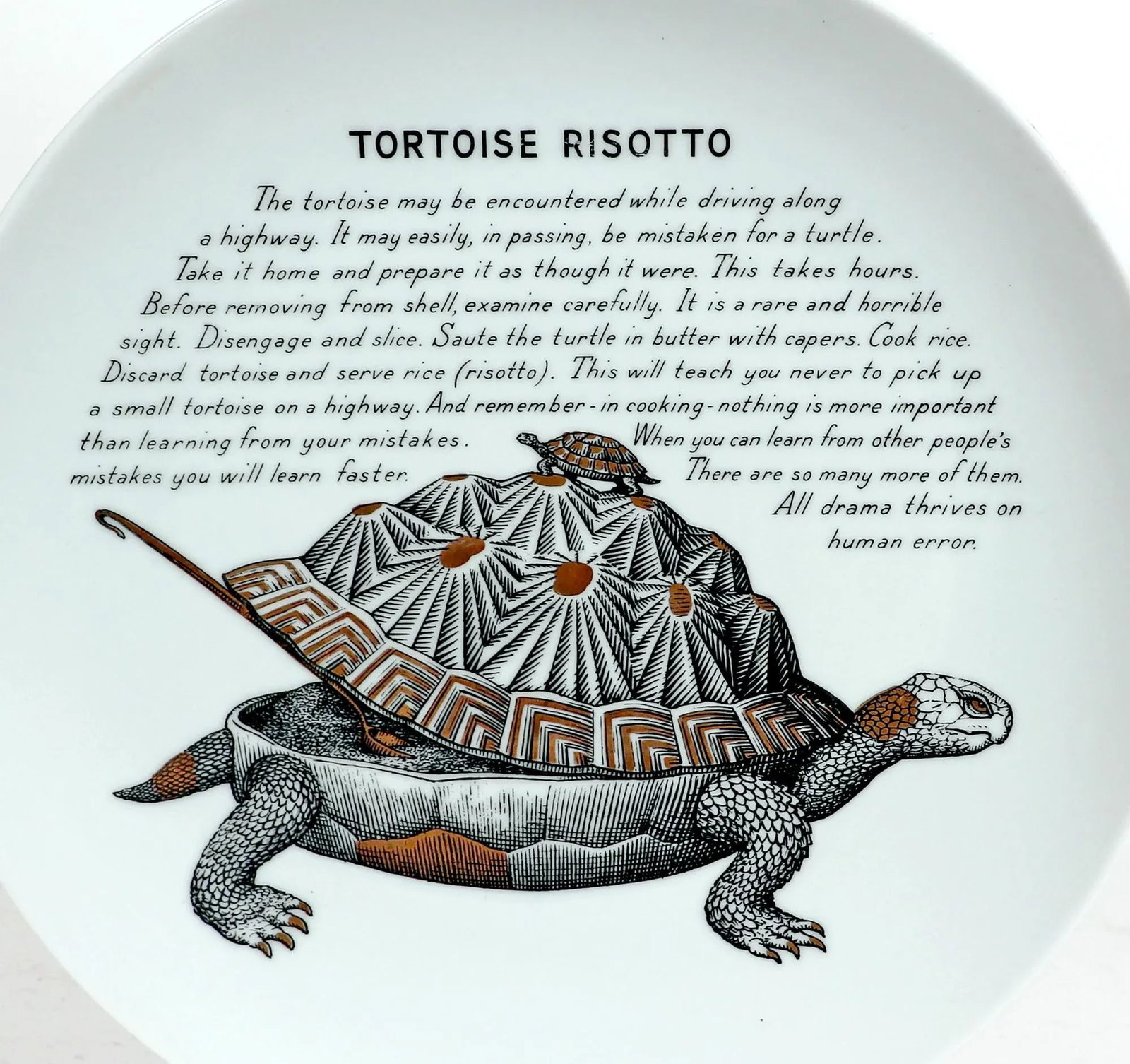 Piero Fornasetti Fleming Joffe Porcelain Plate-Tortoise Risotto - 2