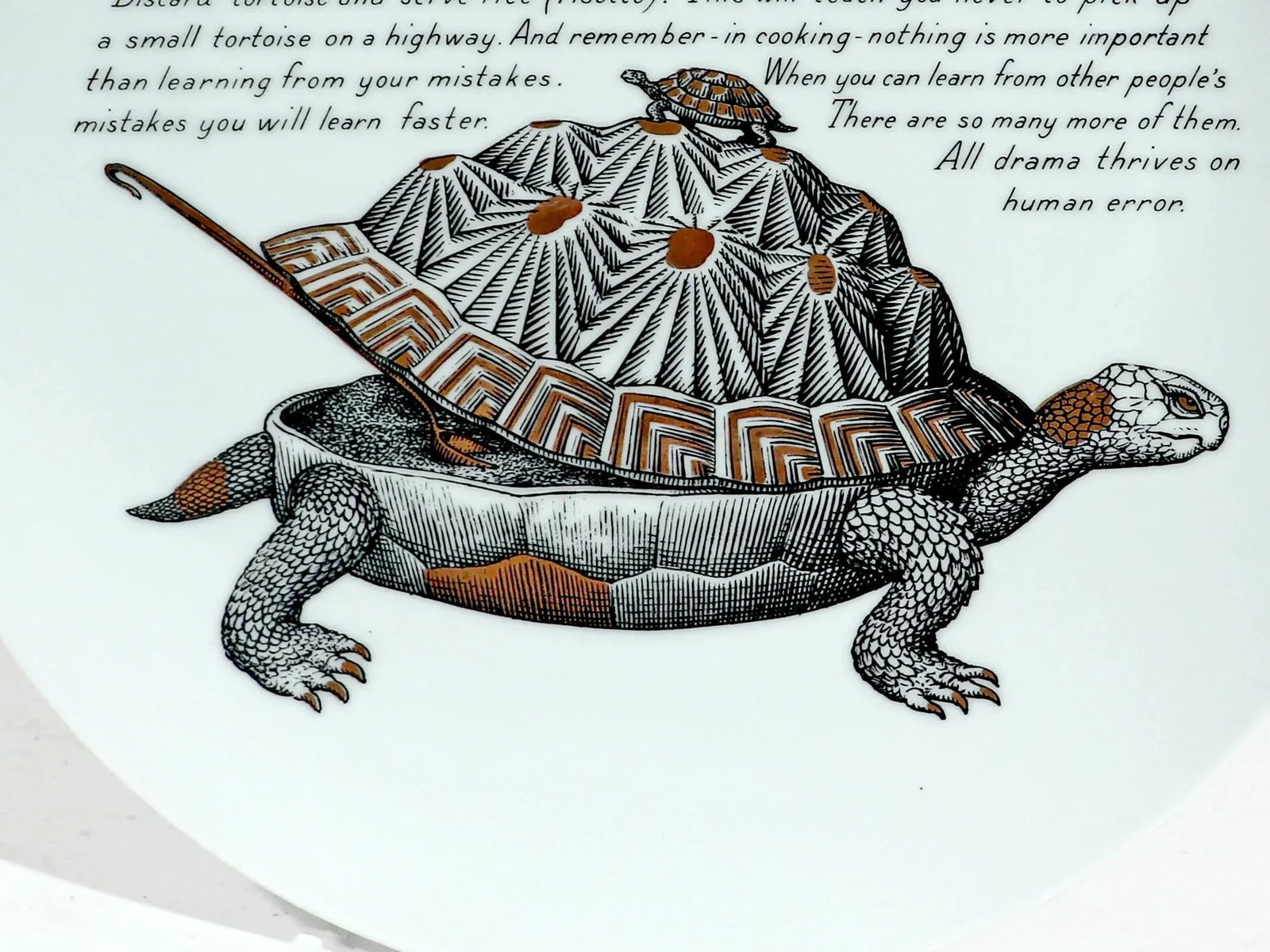 Piero Fornasetti Fleming Joffe Porcelain Plate-Tortoise Risotto - 3