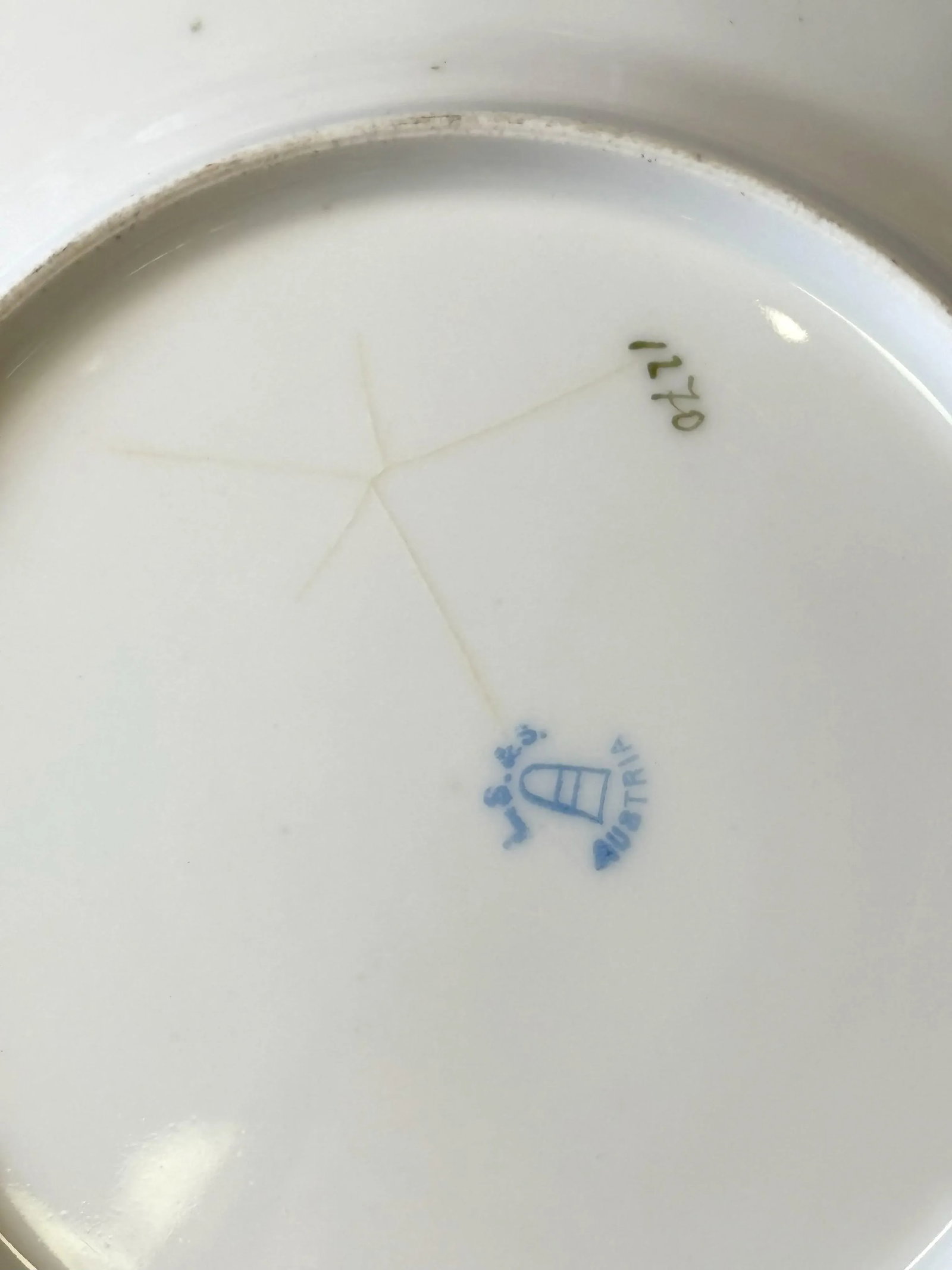 Early 1900's Austrian L. Strauss & Sons Scalloped Edge Porcelain Bird Plates- Set of 6 - 11