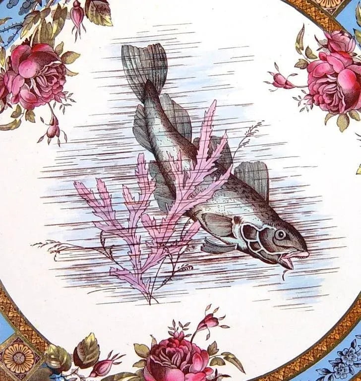 Fish Garfield Pottery Earthenware Plates Wood & Hulme - Set of 6 - 4