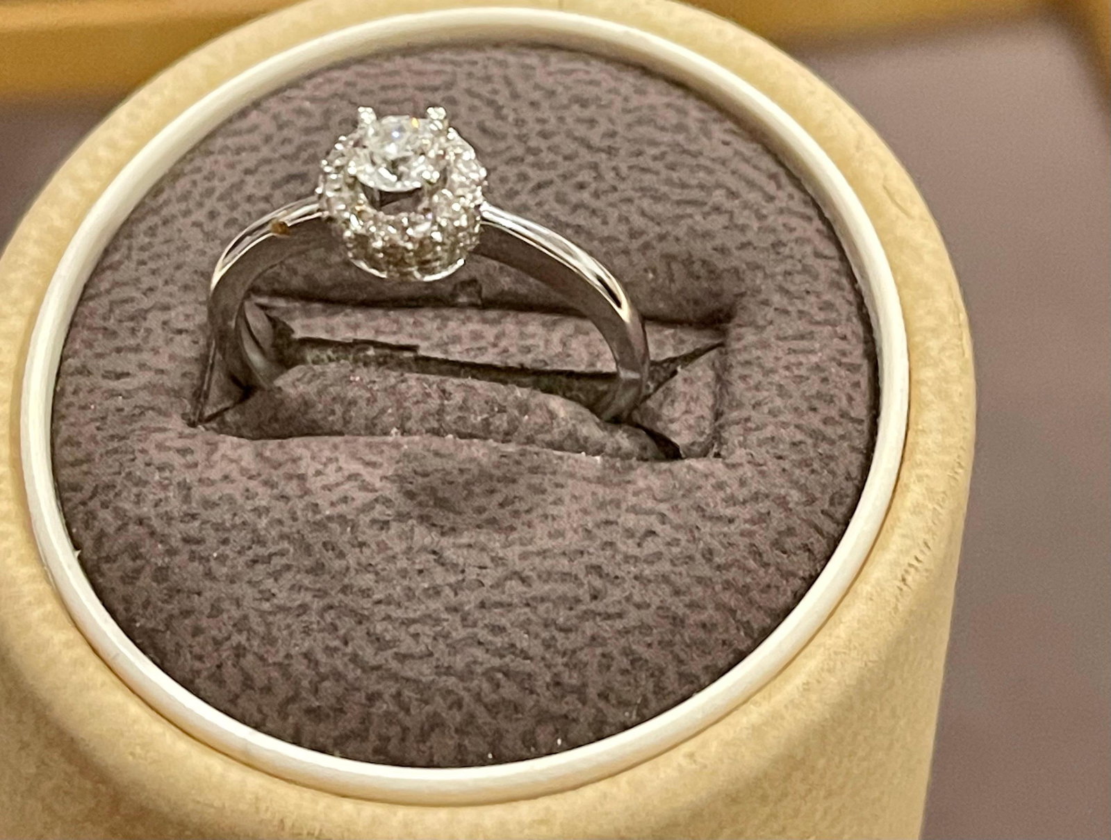 Diamond 0.6 Carat Traditional Ring/Band 14 Karat White Gold, Halo Ring - 2