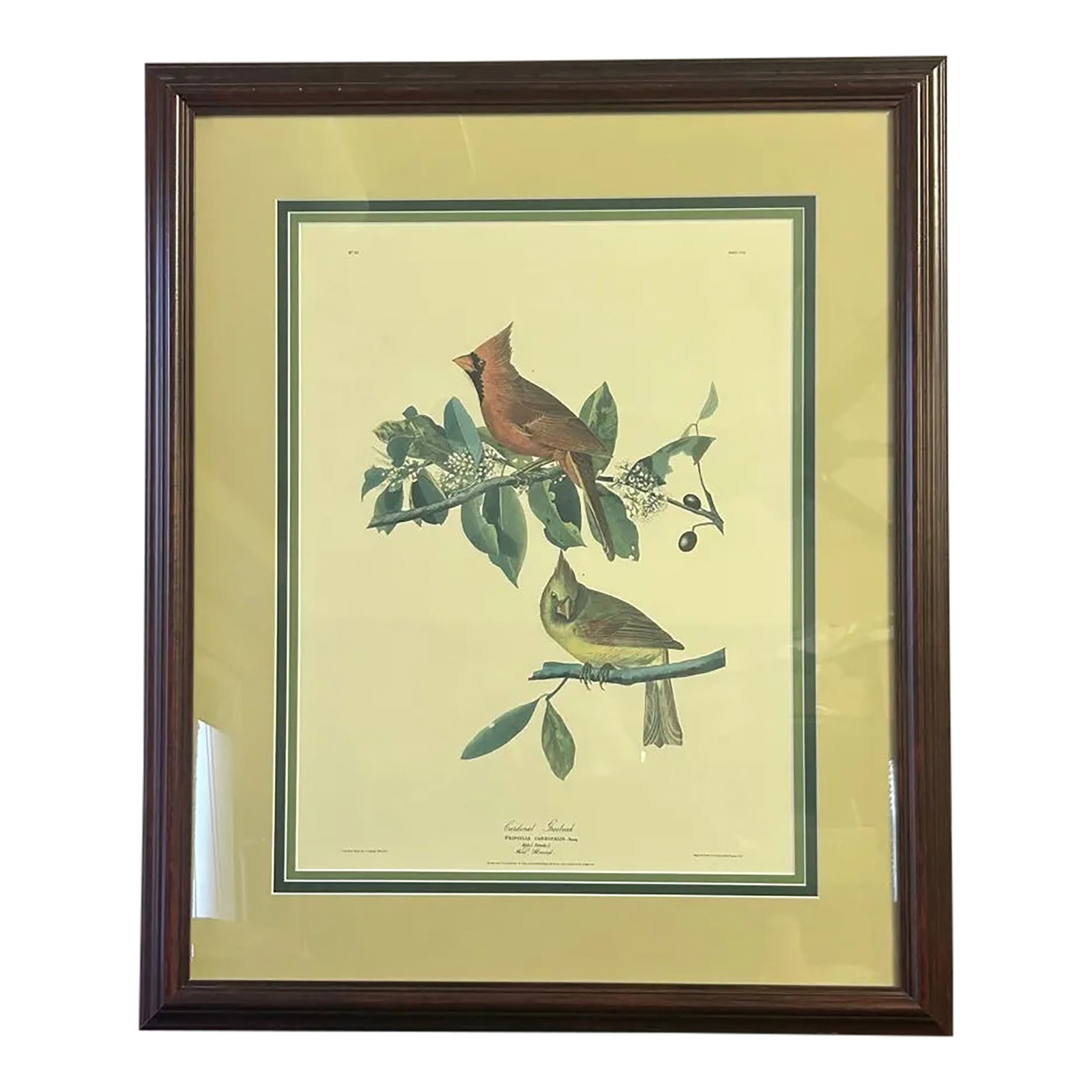 Vintage Audubon Society Cardinal & Grosbeak Framed Print - 24x29 Bird Art (1 of 12)