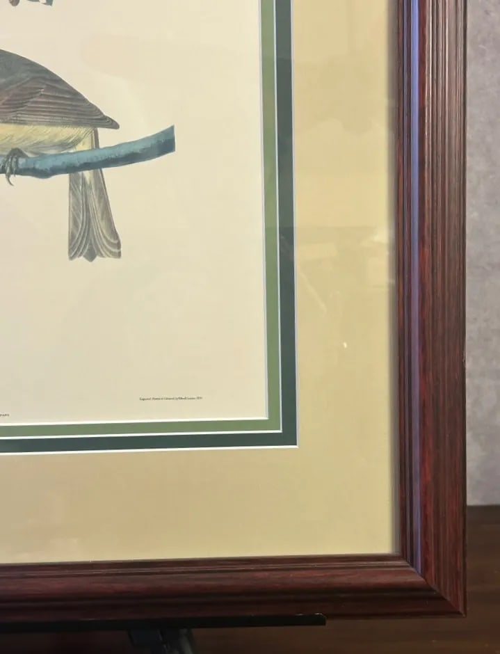 Vintage Audubon Society Cardinal & Grosbeak Framed Print - 24x29 Bird Art - 6