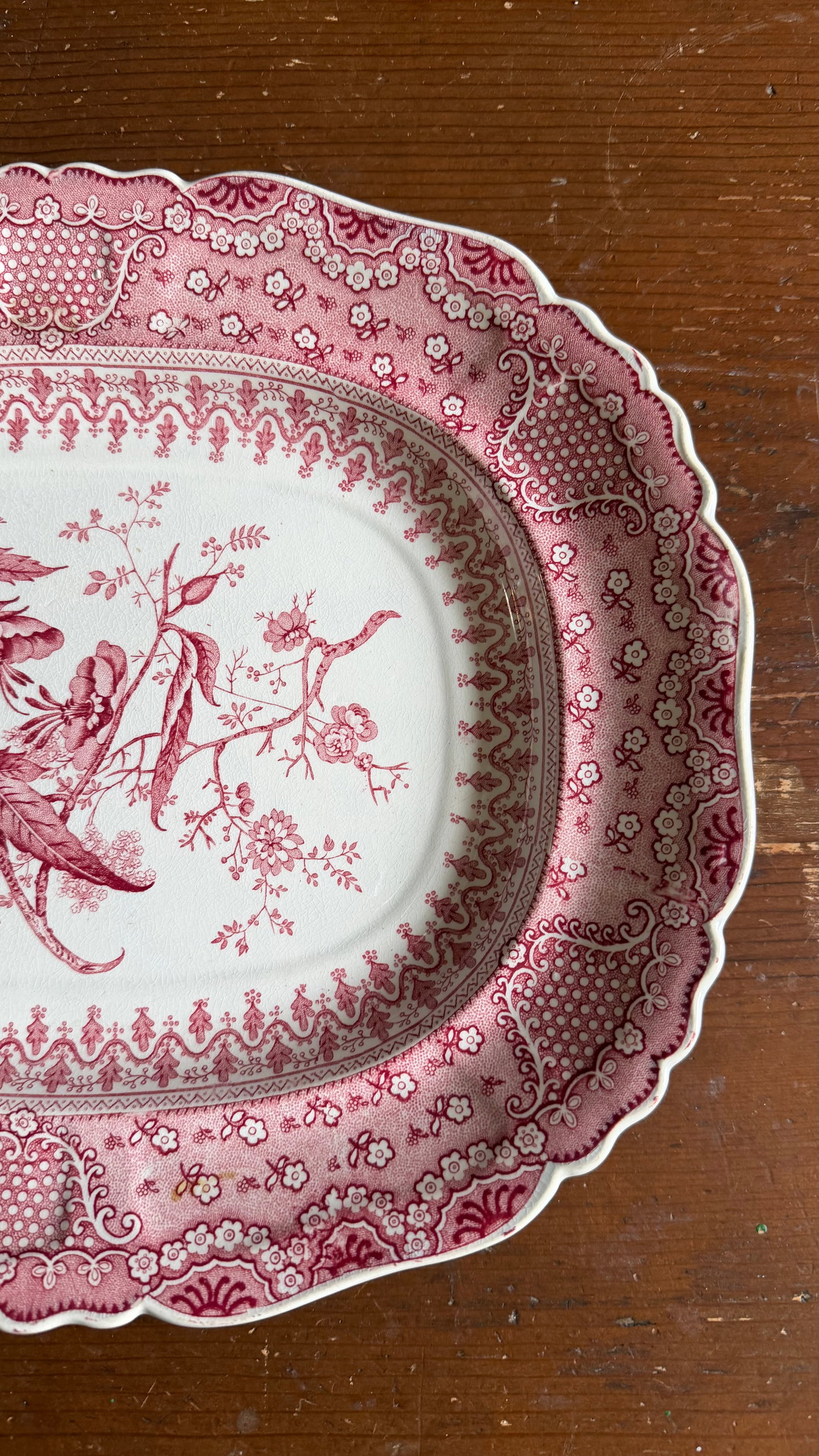 A Very Fine Antique Pink Transferware Decorated Staffordshire Pattern Platter "Asiatic Plants" Patte - 10