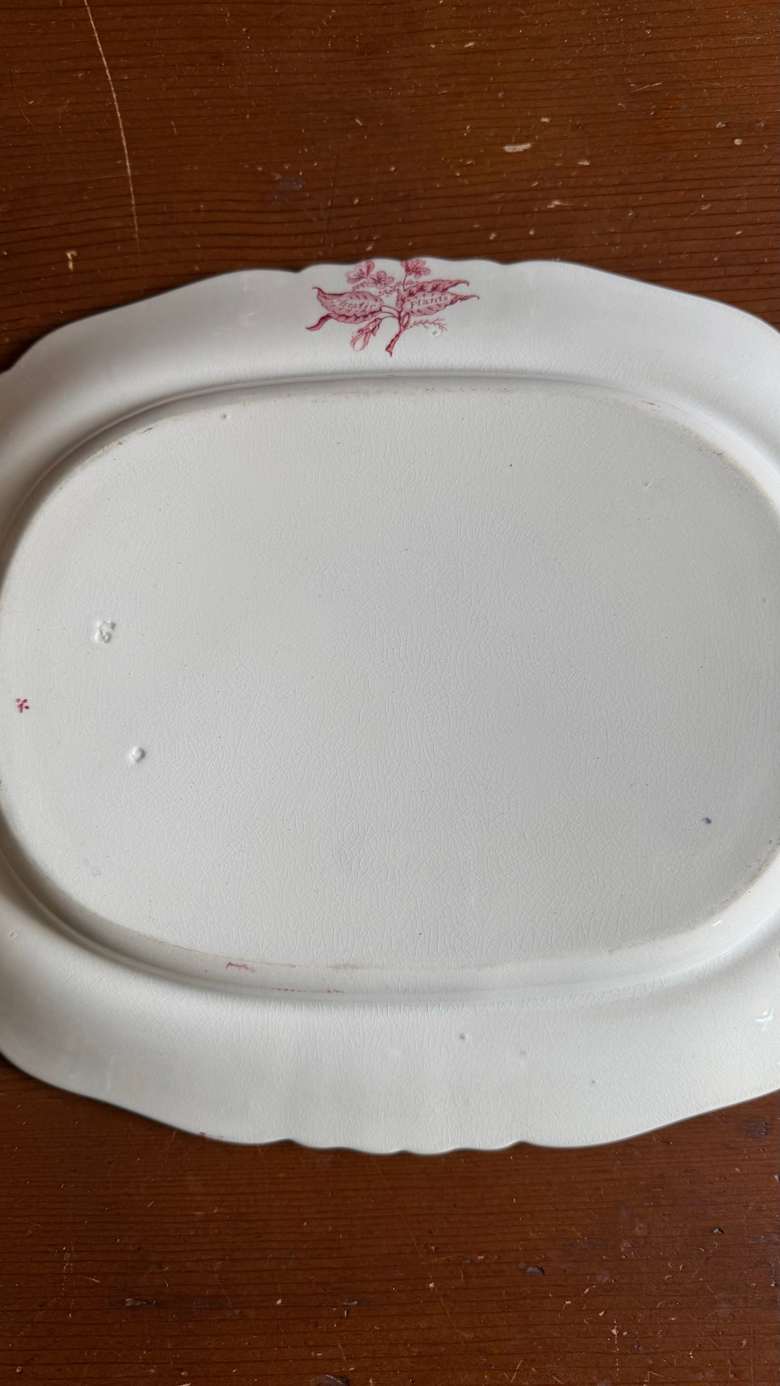 A Very Fine Antique Pink Transferware Decorated Staffordshire Pattern Platter "Asiatic Plants" Patte - 11