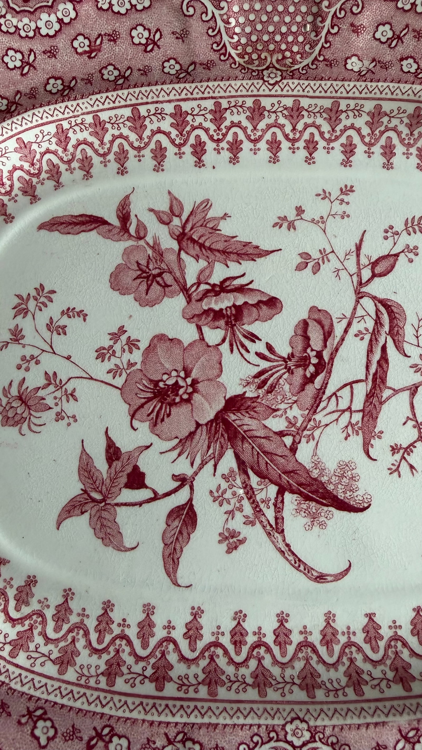 A Very Fine Antique Pink Transferware Decorated Staffordshire Pattern Platter "Asiatic Plants" Patte - 2
