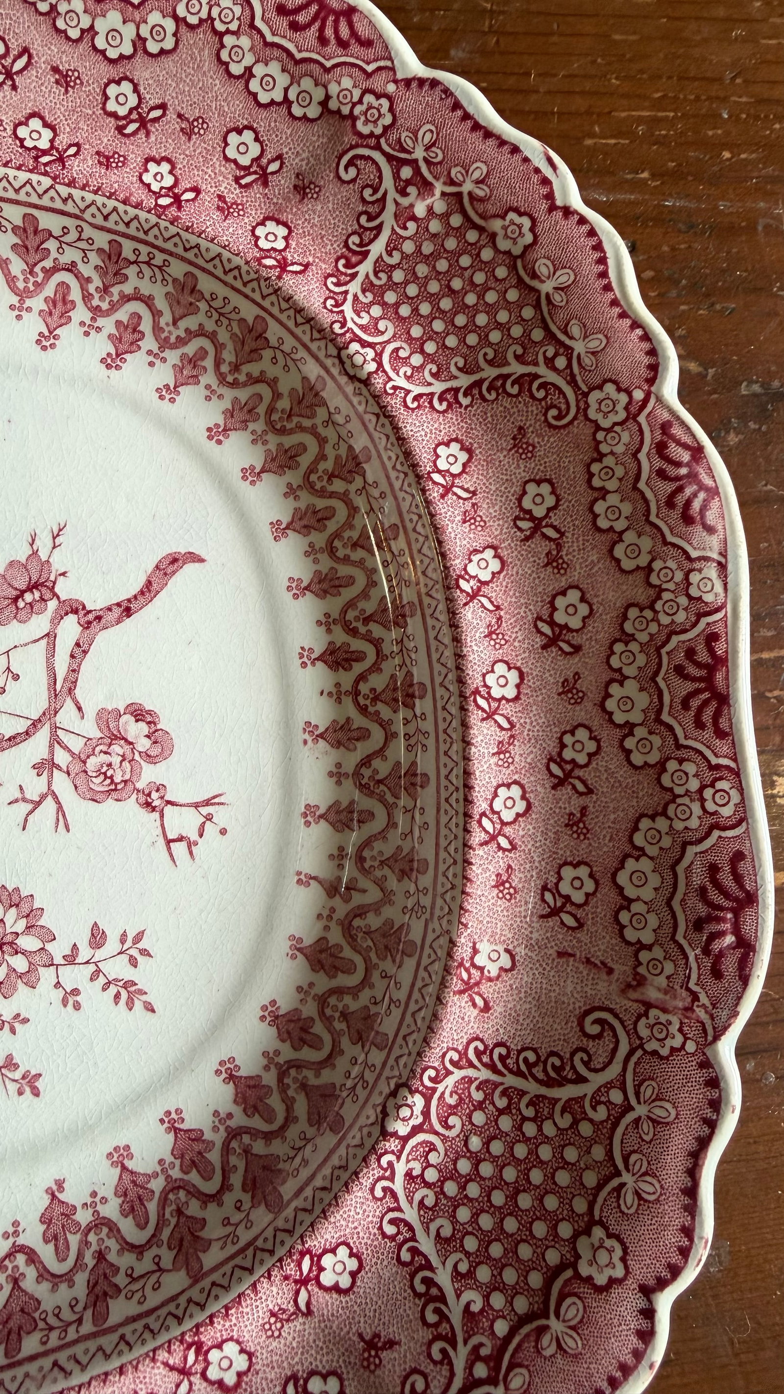 A Very Fine Antique Pink Transferware Decorated Staffordshire Pattern Platter "Asiatic Plants" Patte - 4