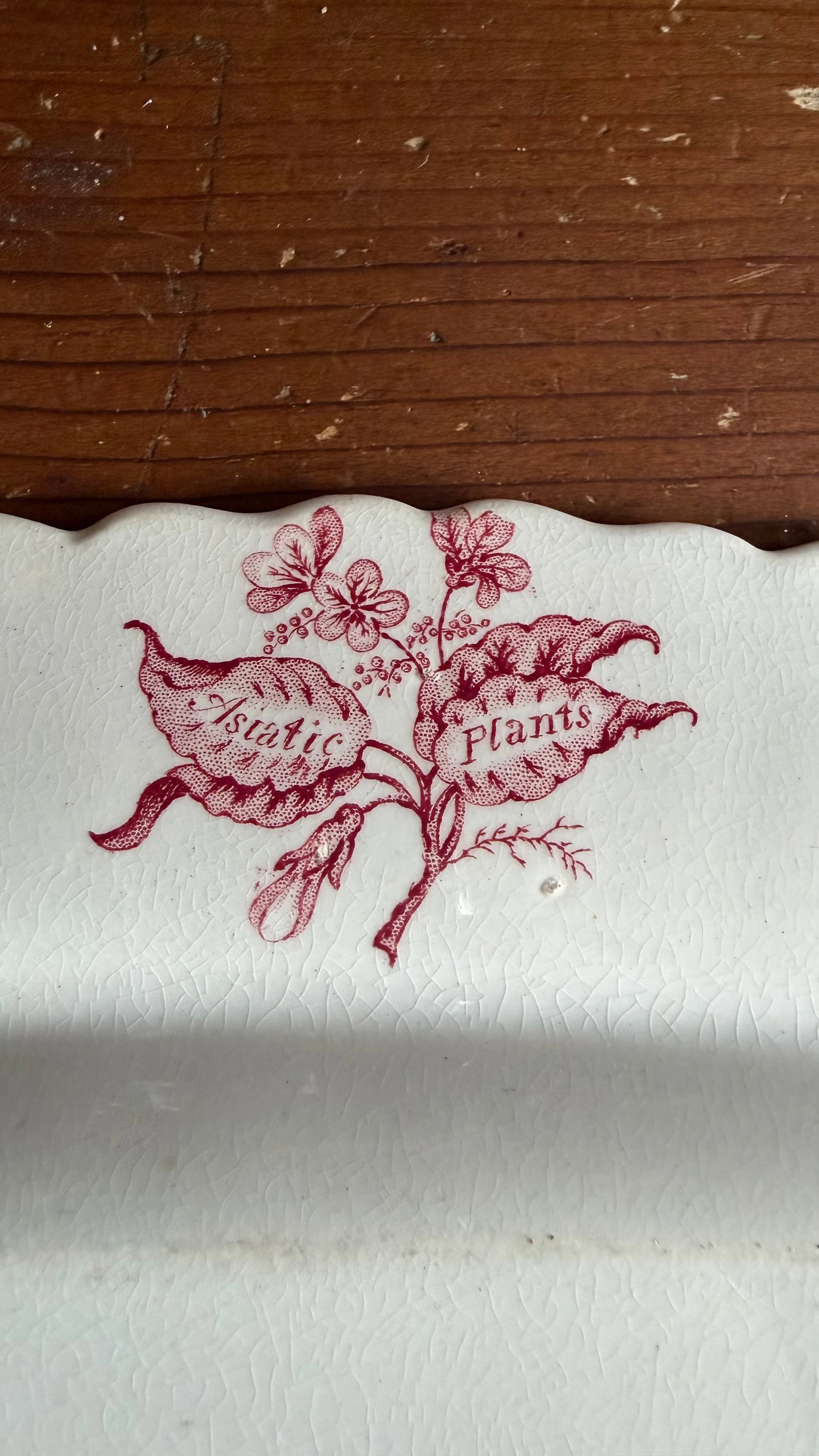 A Very Fine Antique Pink Transferware Decorated Staffordshire Pattern Platter "Asiatic Plants" Patte - 5