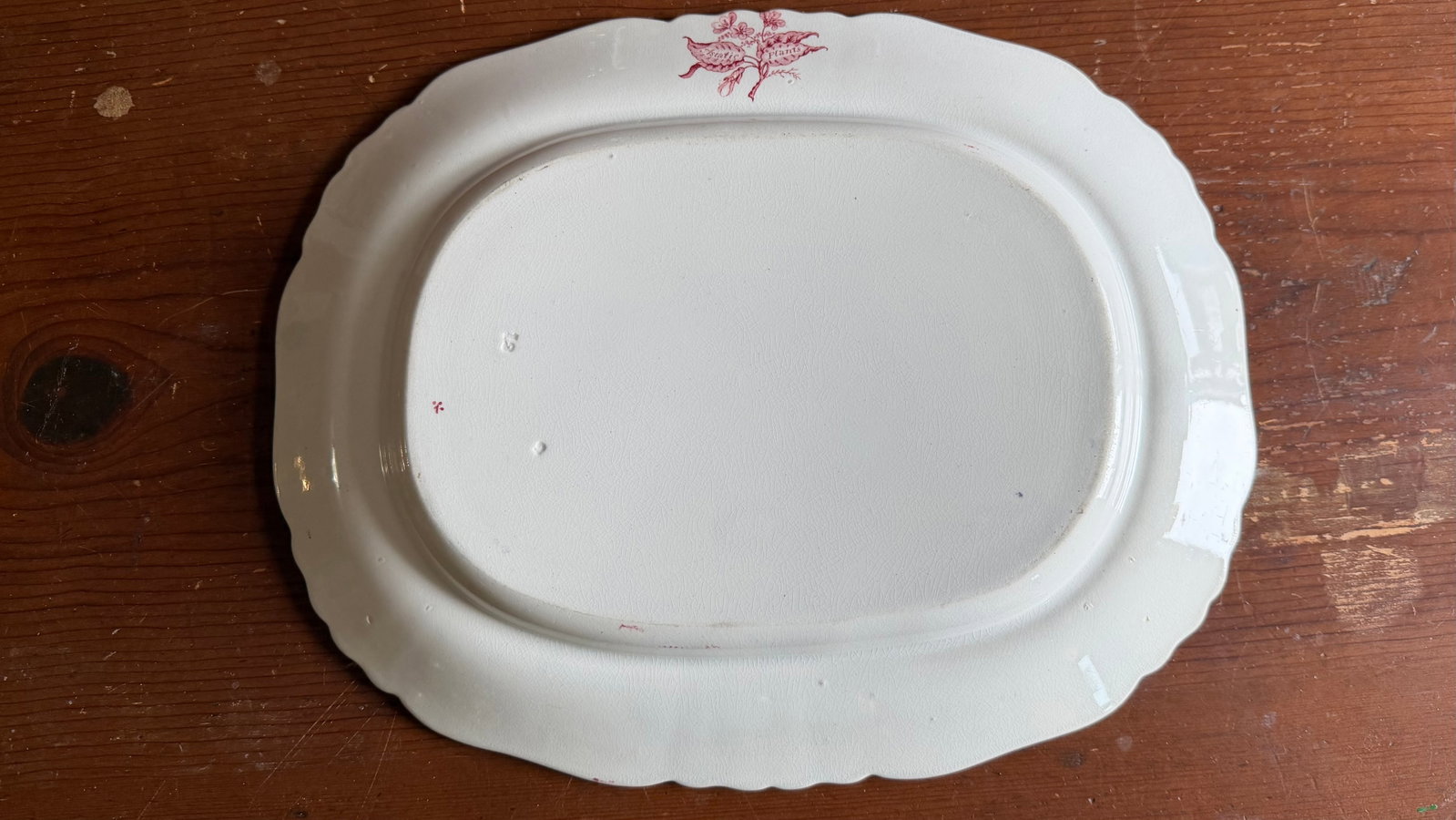 A Very Fine Antique Pink Transferware Decorated Staffordshire Pattern Platter "Asiatic Plants" Patte - 6