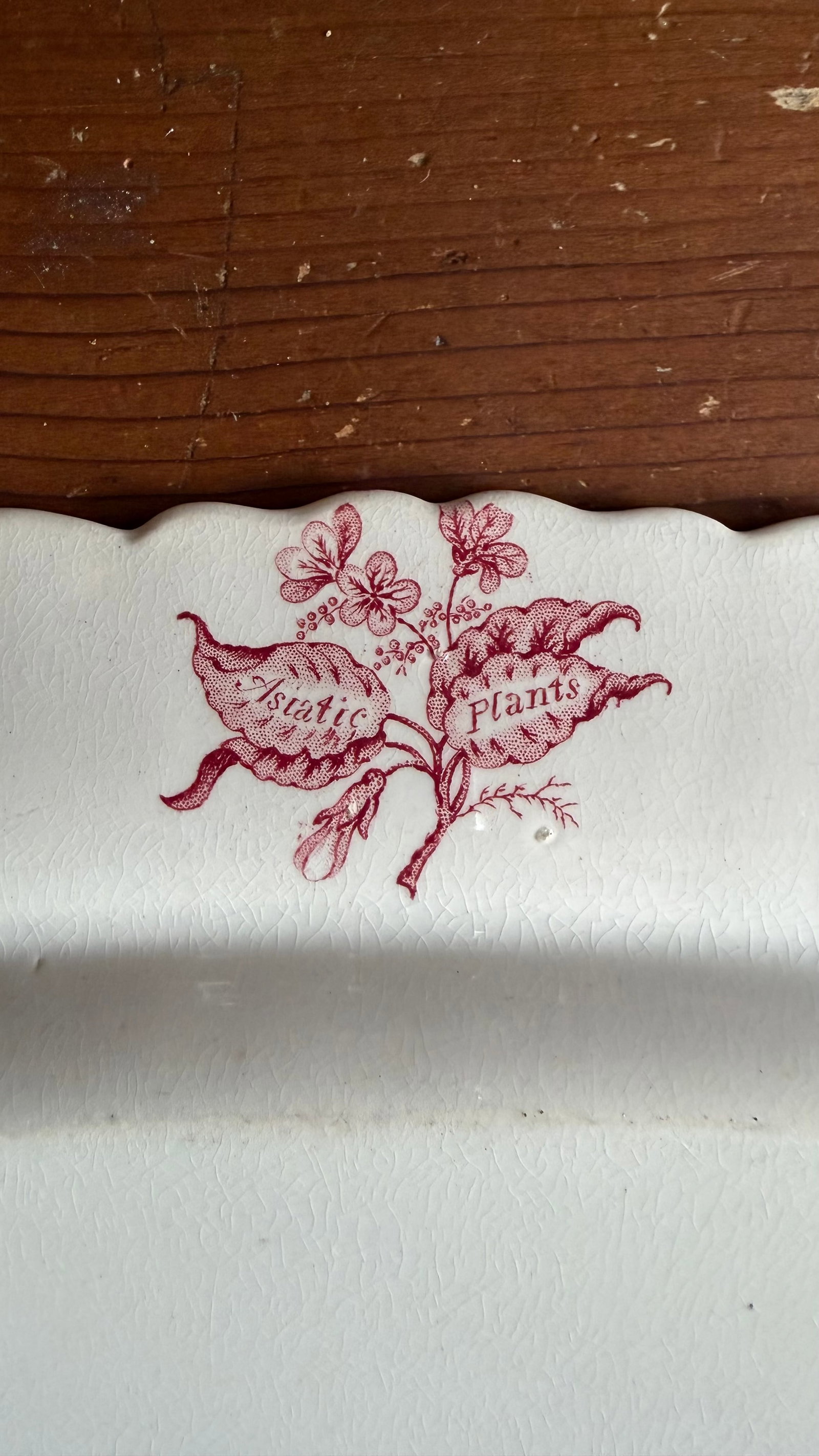 A Very Fine Antique Pink Transferware Decorated Staffordshire Pattern Platter "Asiatic Plants" Patte - 7