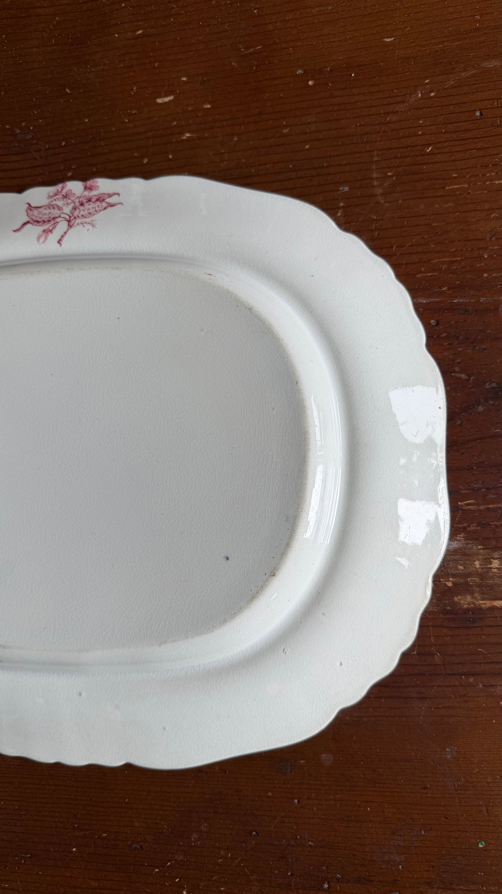 A Very Fine Antique Pink Transferware Decorated Staffordshire Pattern Platter "Asiatic Plants" Patte - 9