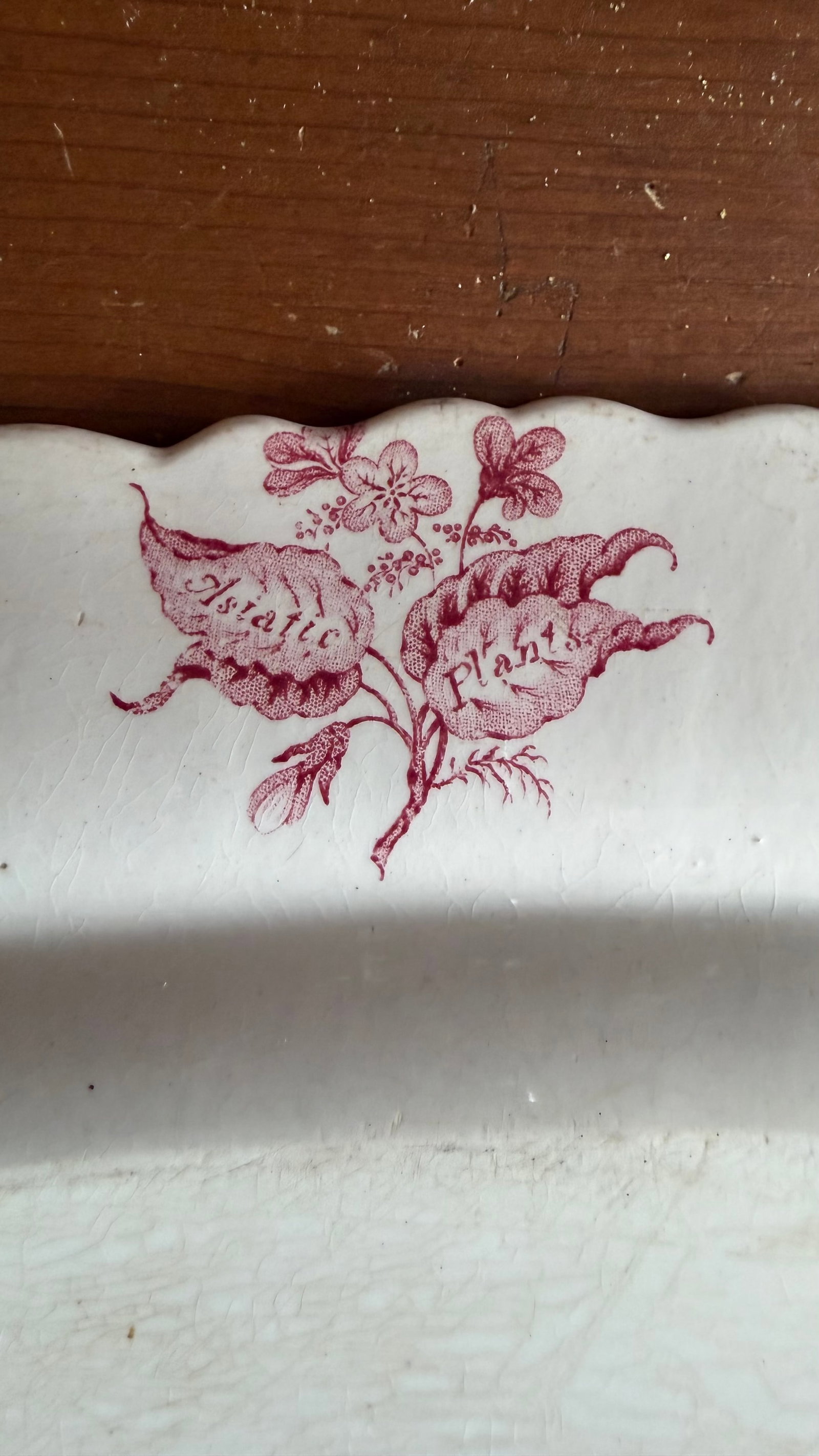 A Very Fine Antique Pink Transferware Decorated Staffordshire Platter "Asiatic Plants" Pattern, Circ - 14
