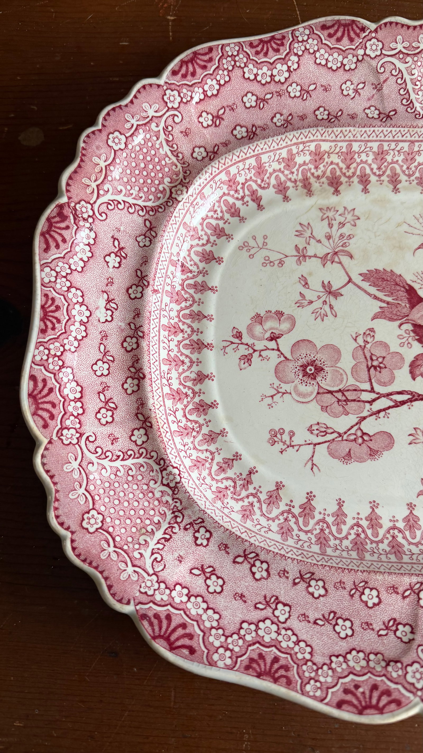 A Very Fine Antique Pink Transferware Decorated Staffordshire Platter "Asiatic Plants" Pattern, Circ - 4