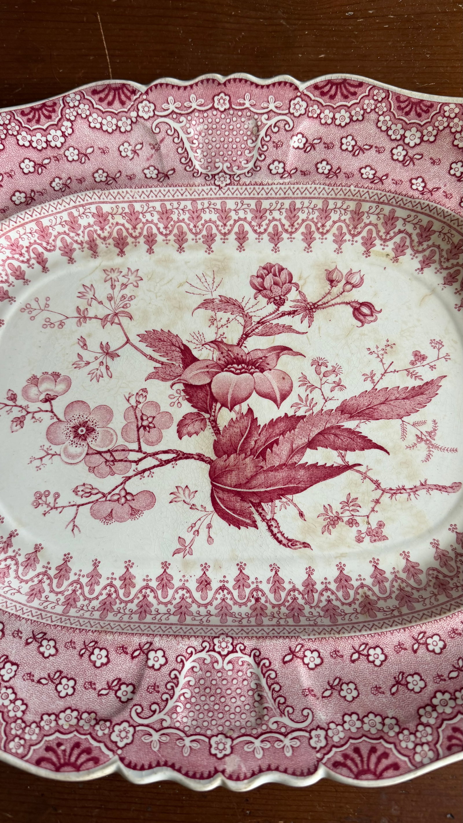 A Very Fine Antique Pink Transferware Decorated Staffordshire Platter "Asiatic Plants" Pattern, Circ - 5