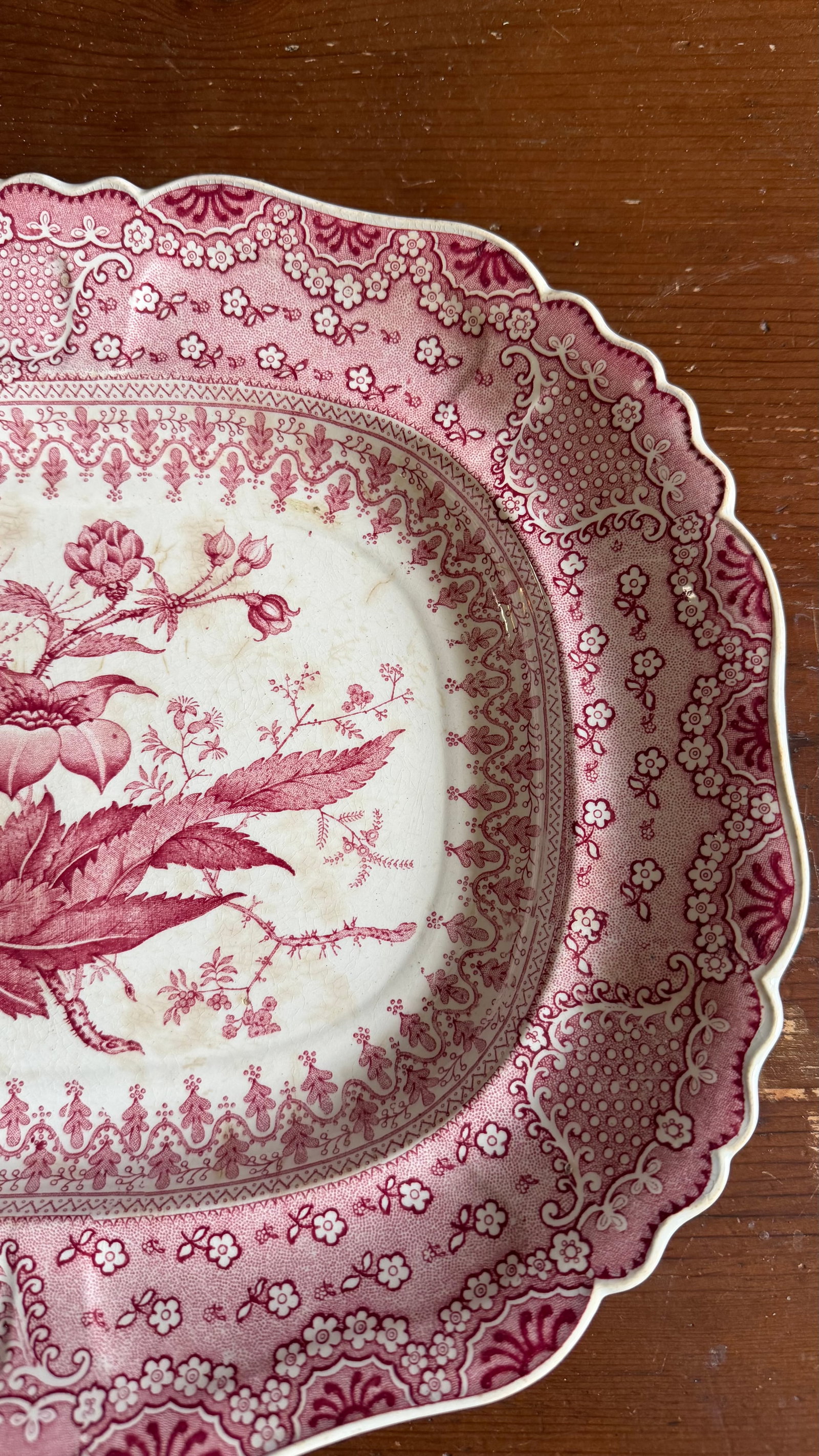 A Very Fine Antique Pink Transferware Decorated Staffordshire Platter "Asiatic Plants" Pattern, Circ - 7