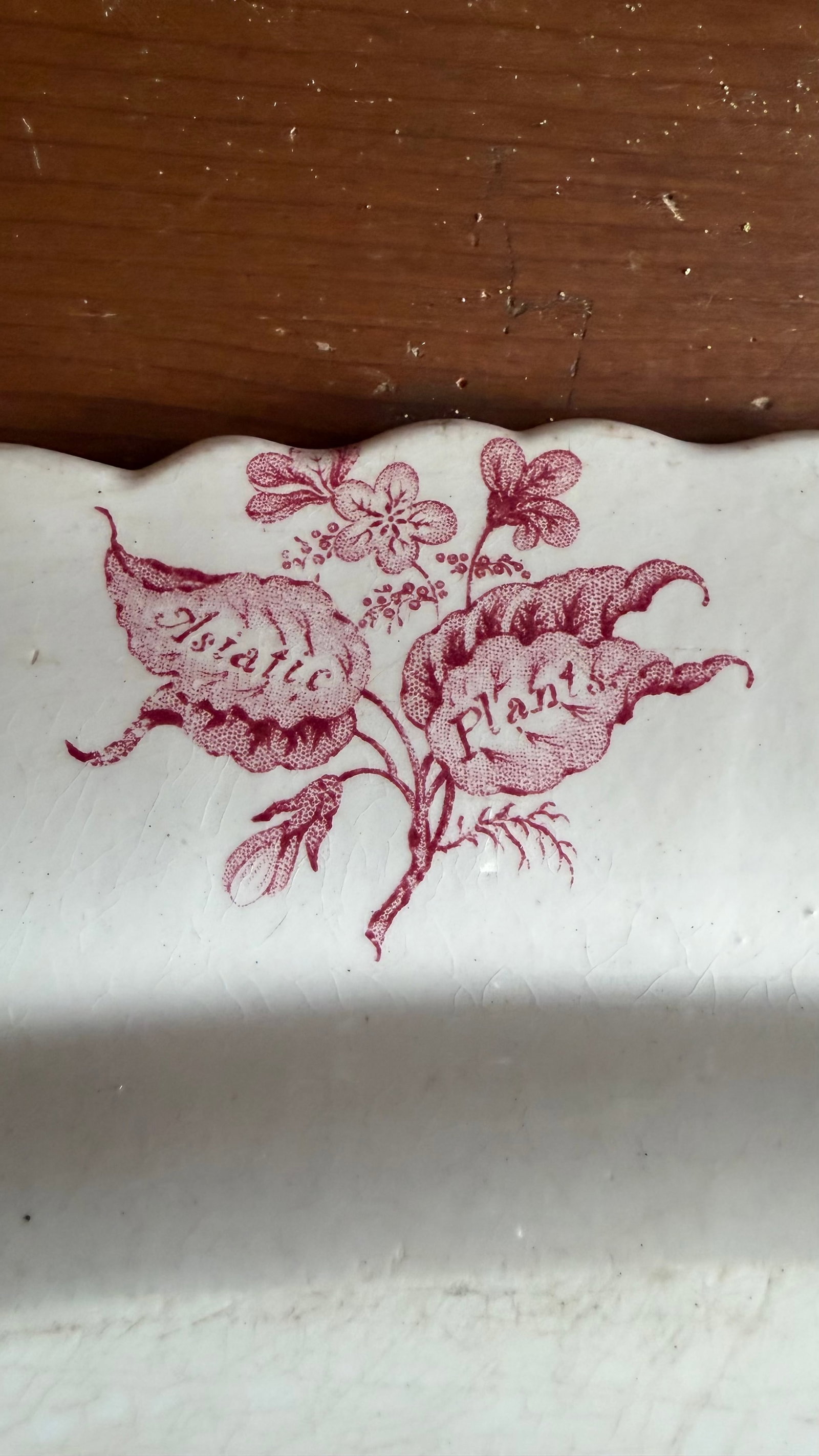 A Very Fine Antique Pink Transferware Decorated Staffordshire Platter "Asiatic Plants" Pattern, Circ - 8