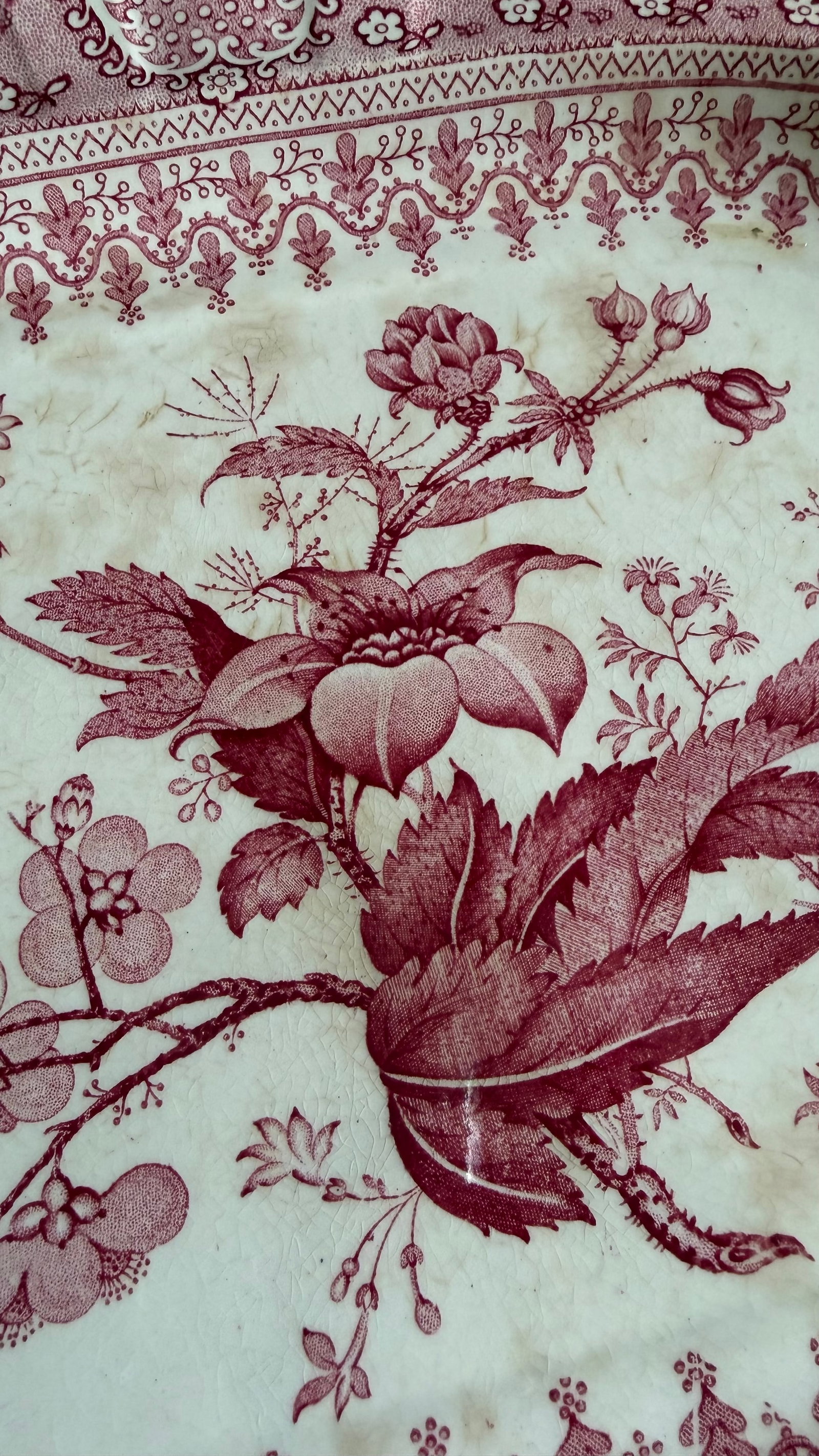 A Very Fine Antique Pink Transferware Decorated Staffordshire Platter "Asiatic Plants" Pattern, Circ - 9