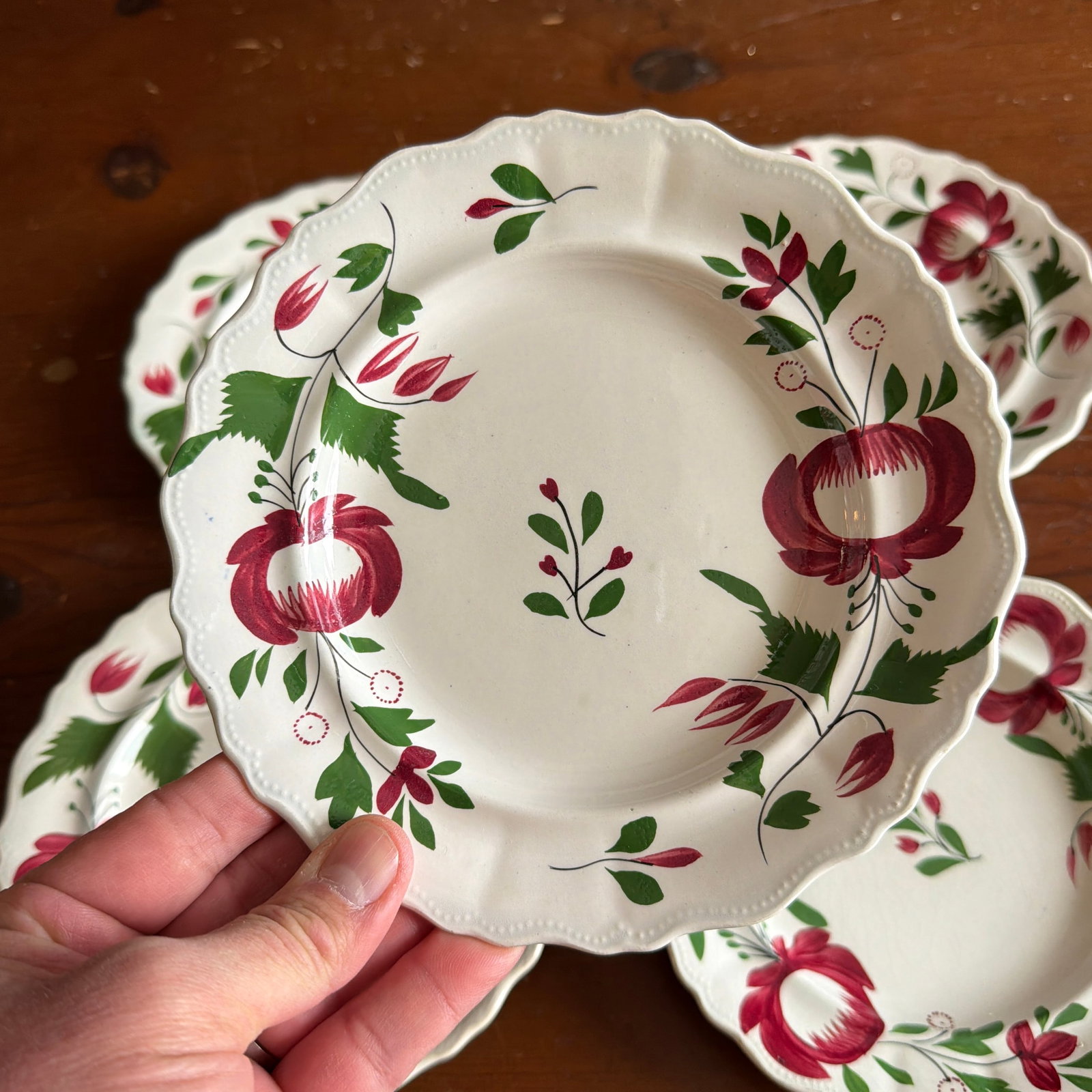 A Very Nice Set of 5 of Antique Staffordshire Early Adam's Rose Plates, Circa 1830 - 12