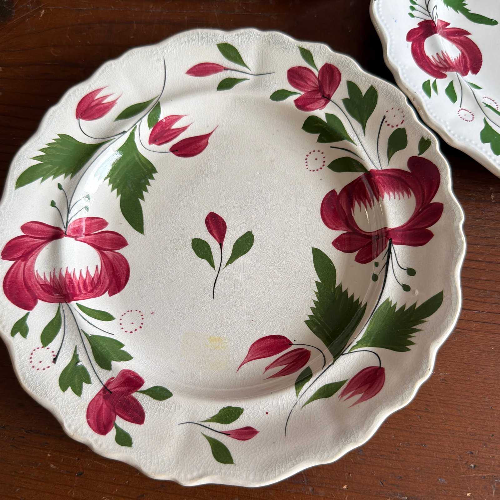 A Very Nice Set of 5 of Antique Staffordshire Early Adam's Rose Plates, Circa 1830 - 2