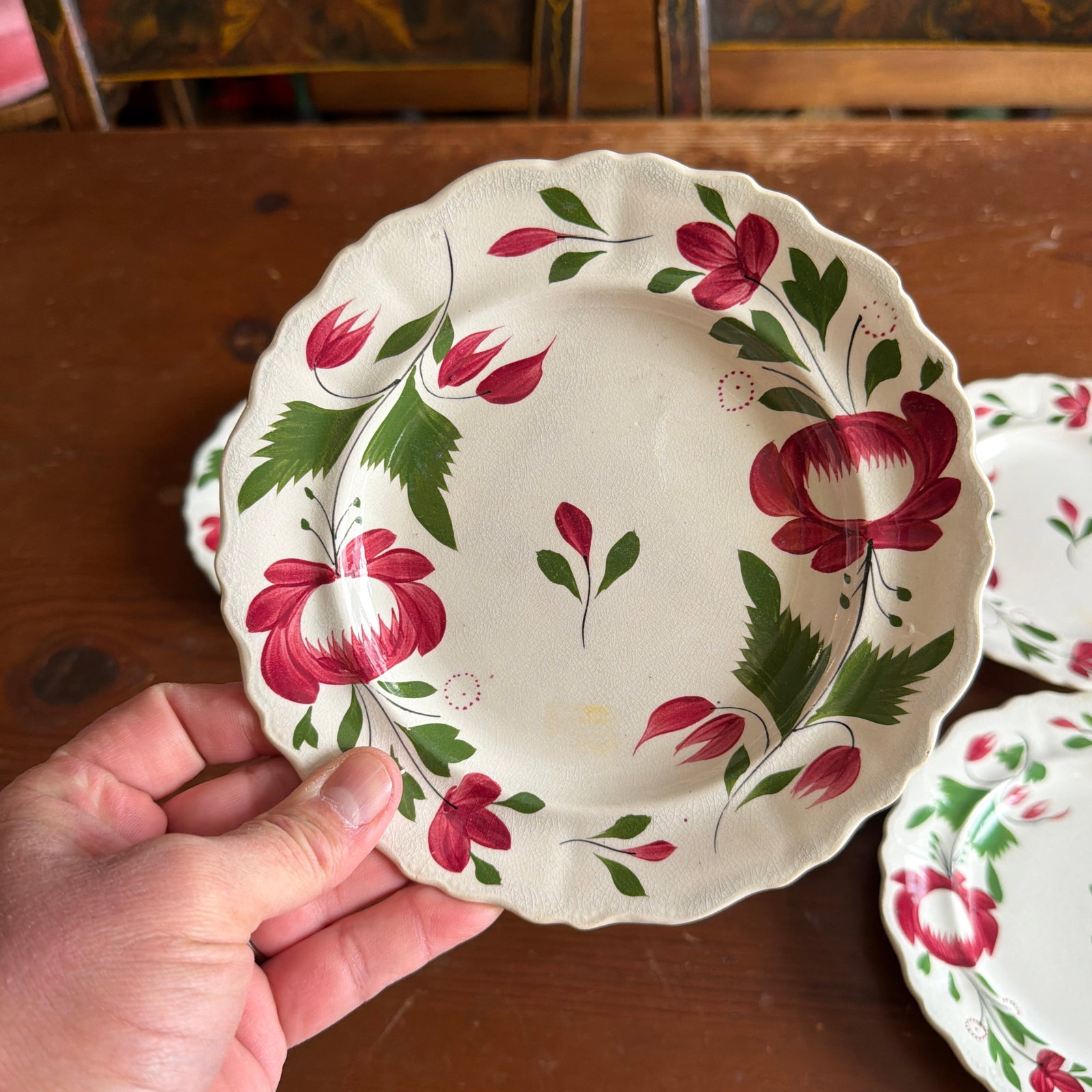 A Very Nice Set of 5 of Antique Staffordshire Early Adam's Rose Plates, Circa 1830 - 8