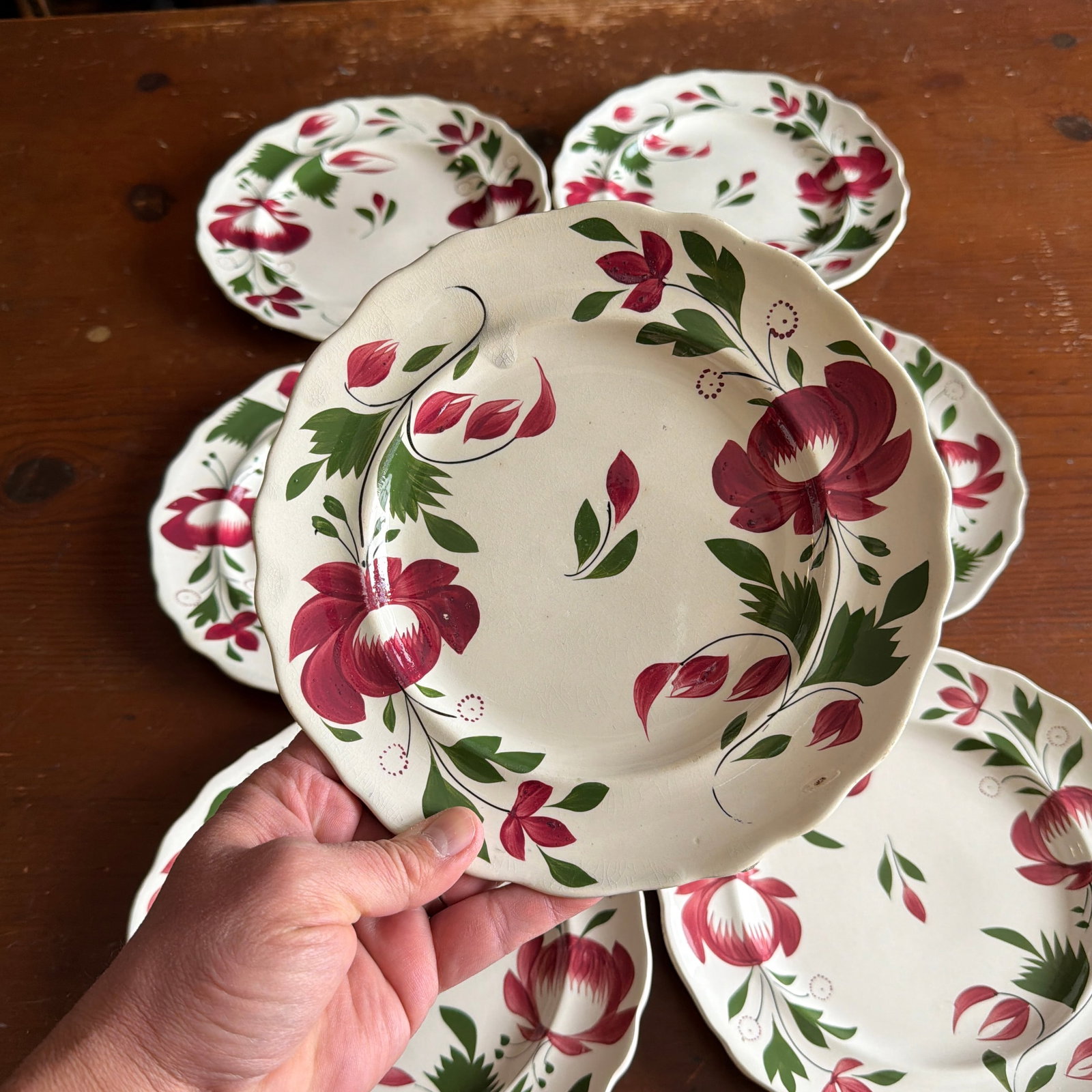 A Very Nice Set of 7 of Antique Staffordshire Early Adam's Rose Plates, Circa 1830 - 12