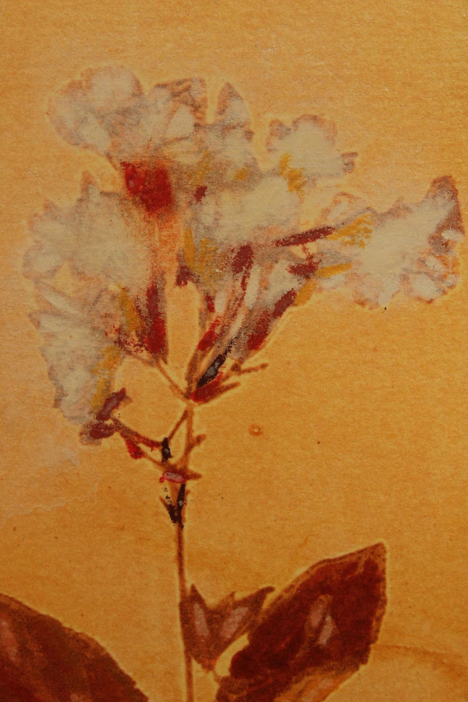 Botanical Ink-Wash Paintings - A Pair - 10