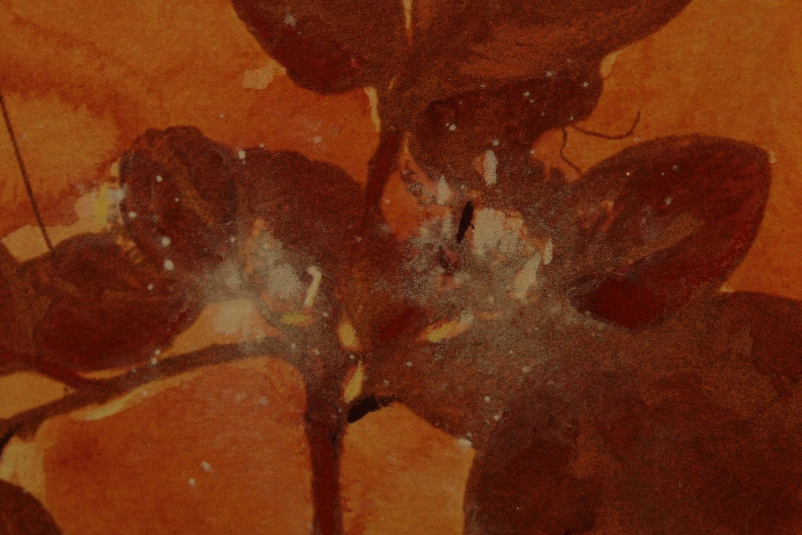 Botanical Ink-Wash Paintings - A Pair - 11