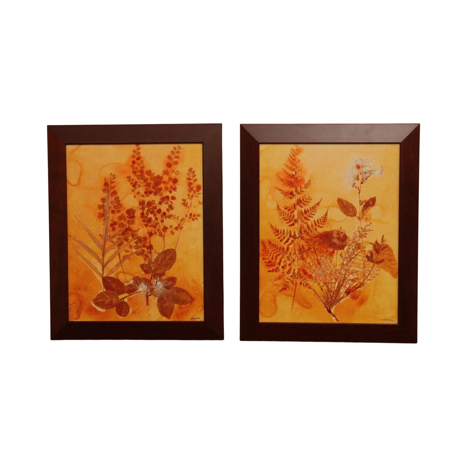 Botanical Ink-Wash Paintings - A Pair - 13