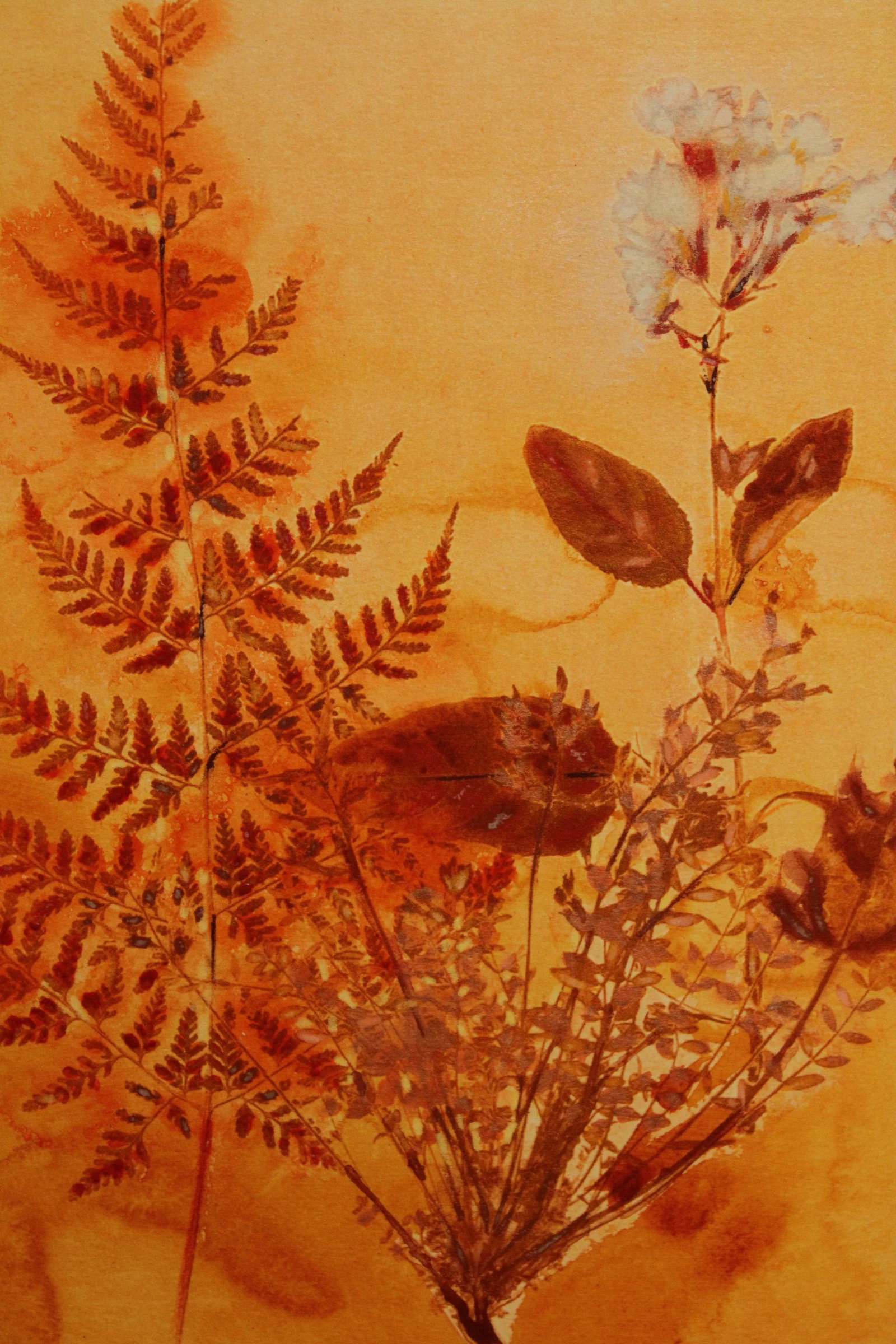 Botanical Ink-Wash Paintings - A Pair - 6