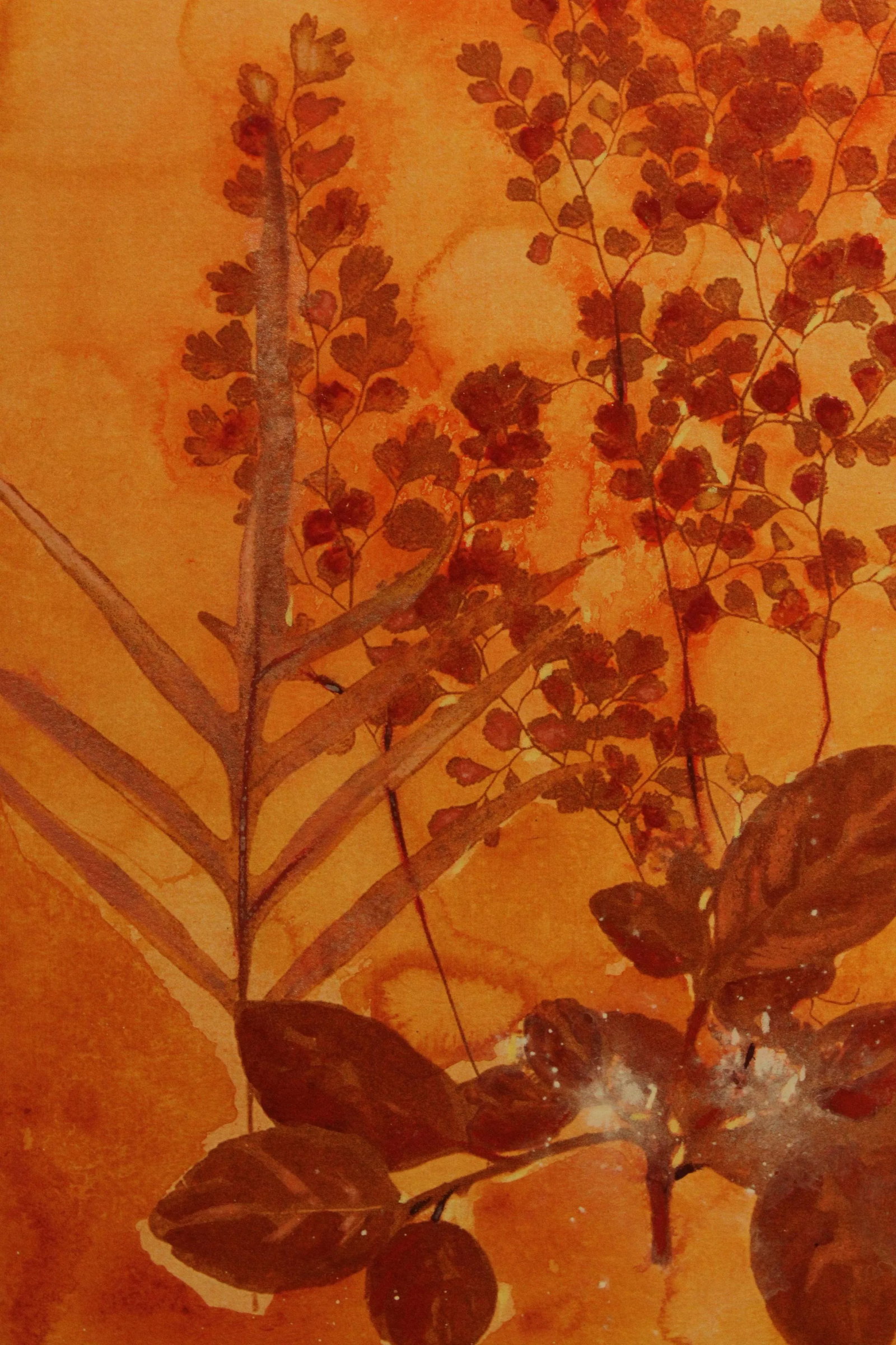 Botanical Ink-Wash Paintings - A Pair - 7