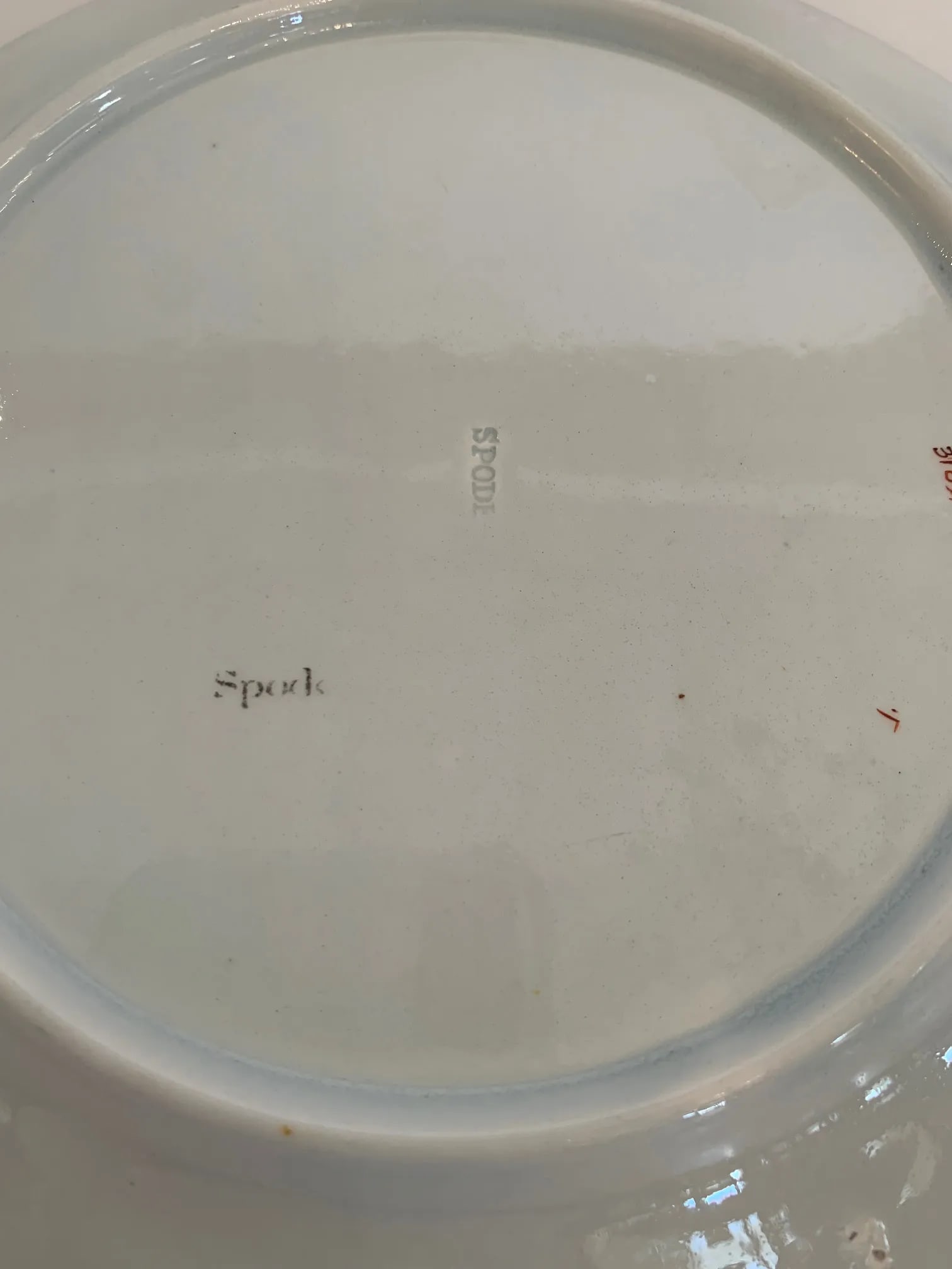 Antique English Spode Round Plates -Set of 14 - 11