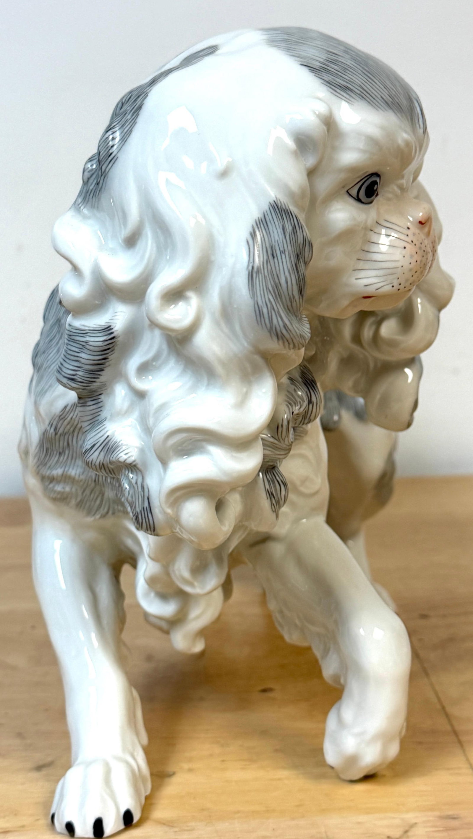 Large Dresden Porcelain Standing Toy Spaniel King Charles / Pekingese, 1900s - 5