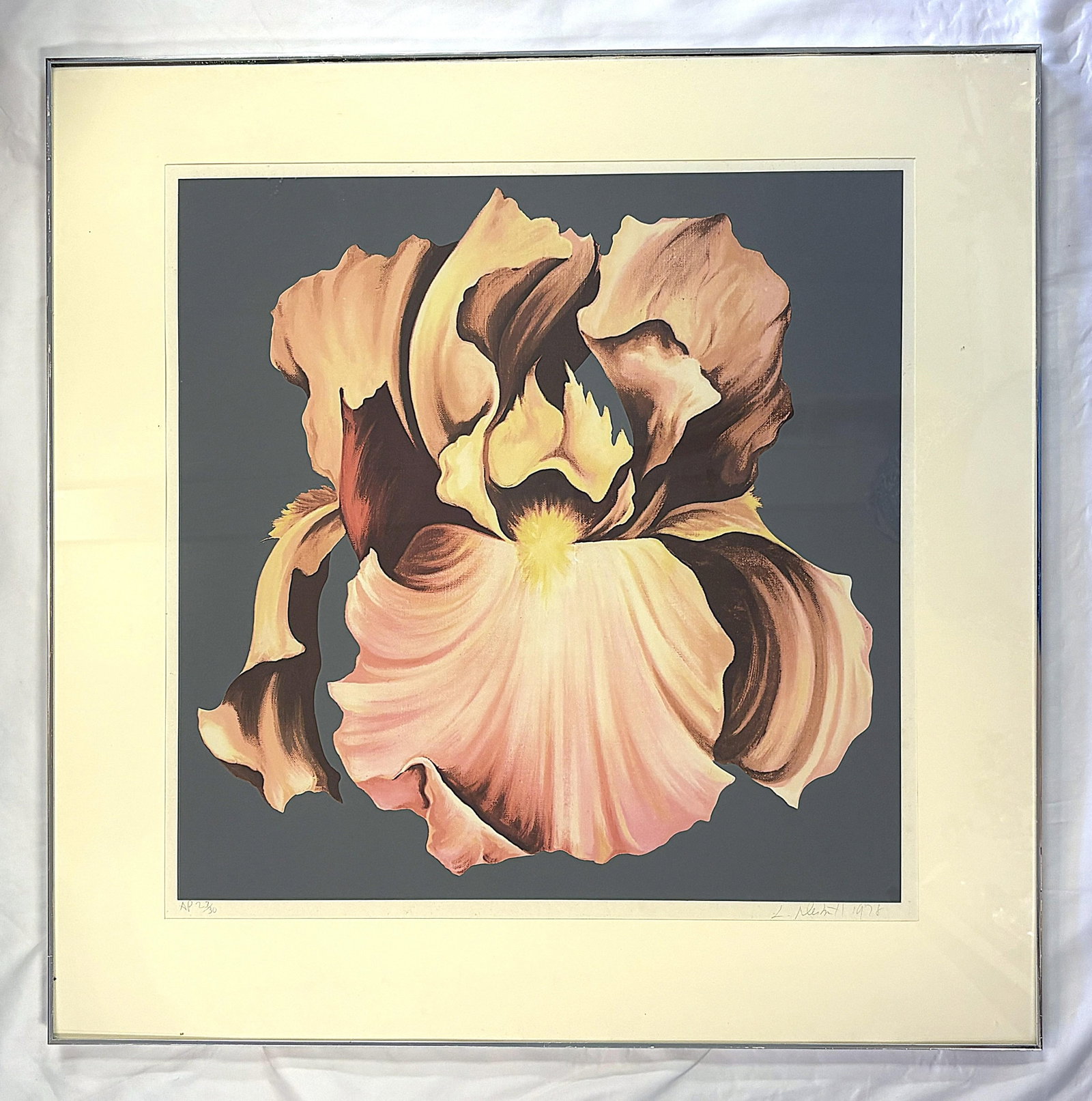 1978 Lowell Nesbitt 'Iris' Lithograph Pencil Signed, Numbered 23/30 and Framed - 12