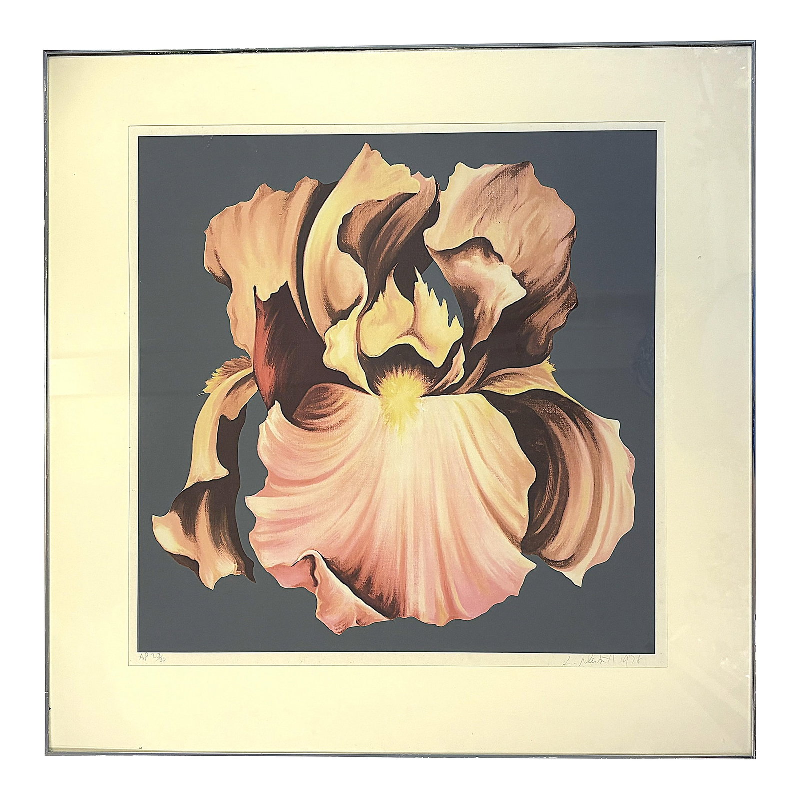 1978 Lowell Nesbitt 'Iris' Lithograph Pencil Signed, Numbered 23/30 and Framed (1 of 16)