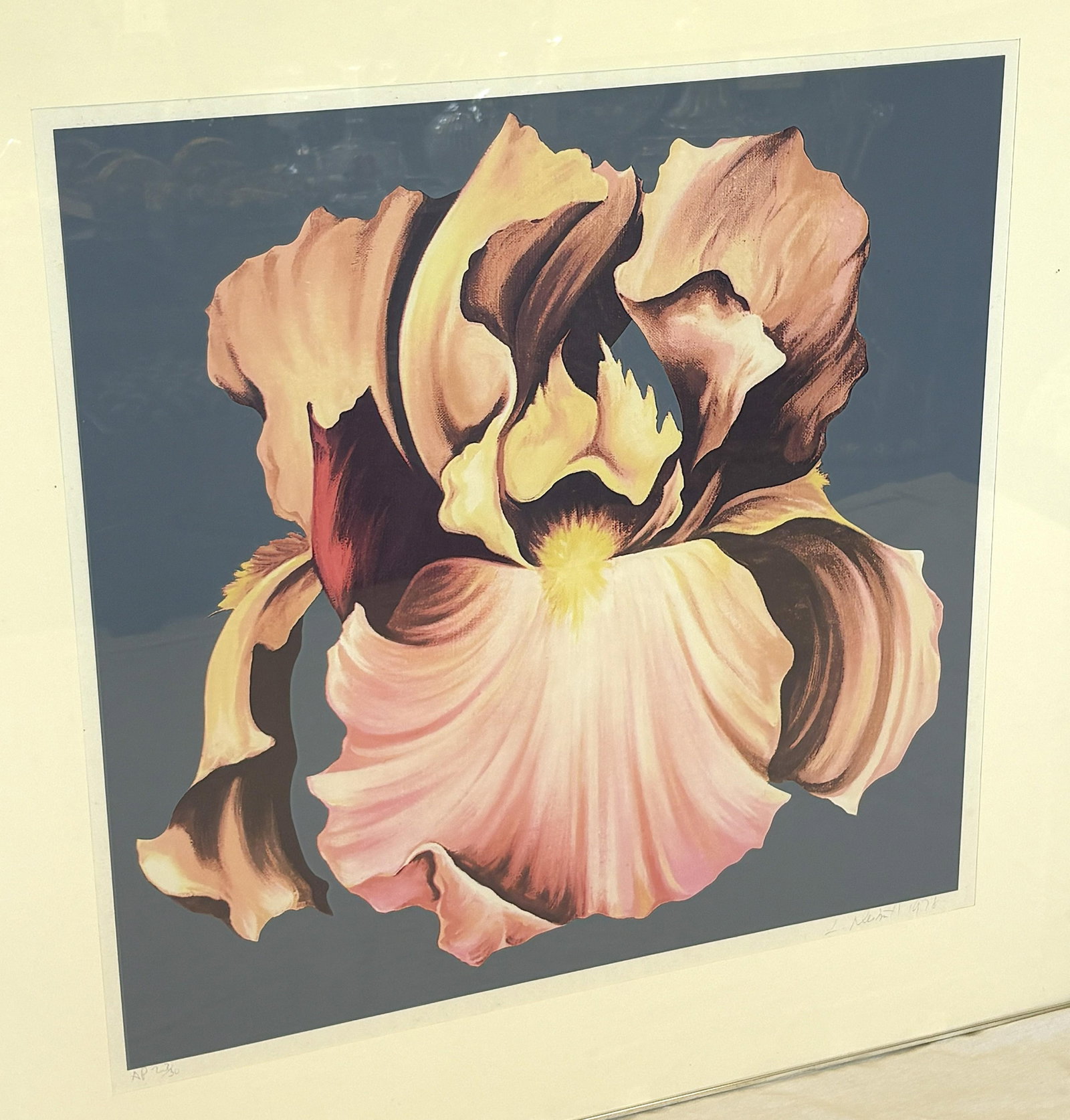 1978 Lowell Nesbitt 'Iris' Lithograph Pencil Signed, Numbered 23/30 and Framed - 3