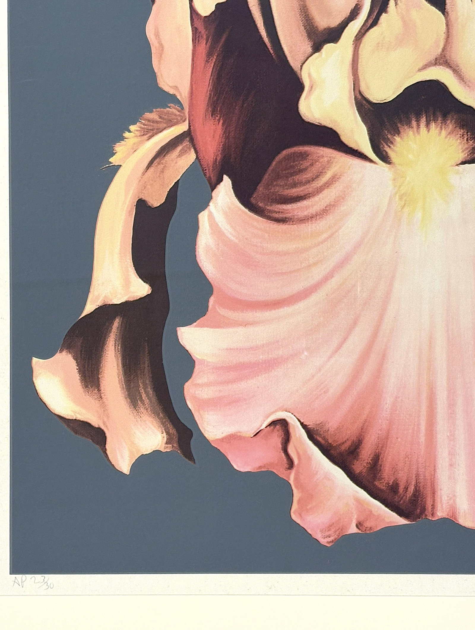 1978 Lowell Nesbitt 'Iris' Lithograph Pencil Signed, Numbered 23/30 and Framed - 5