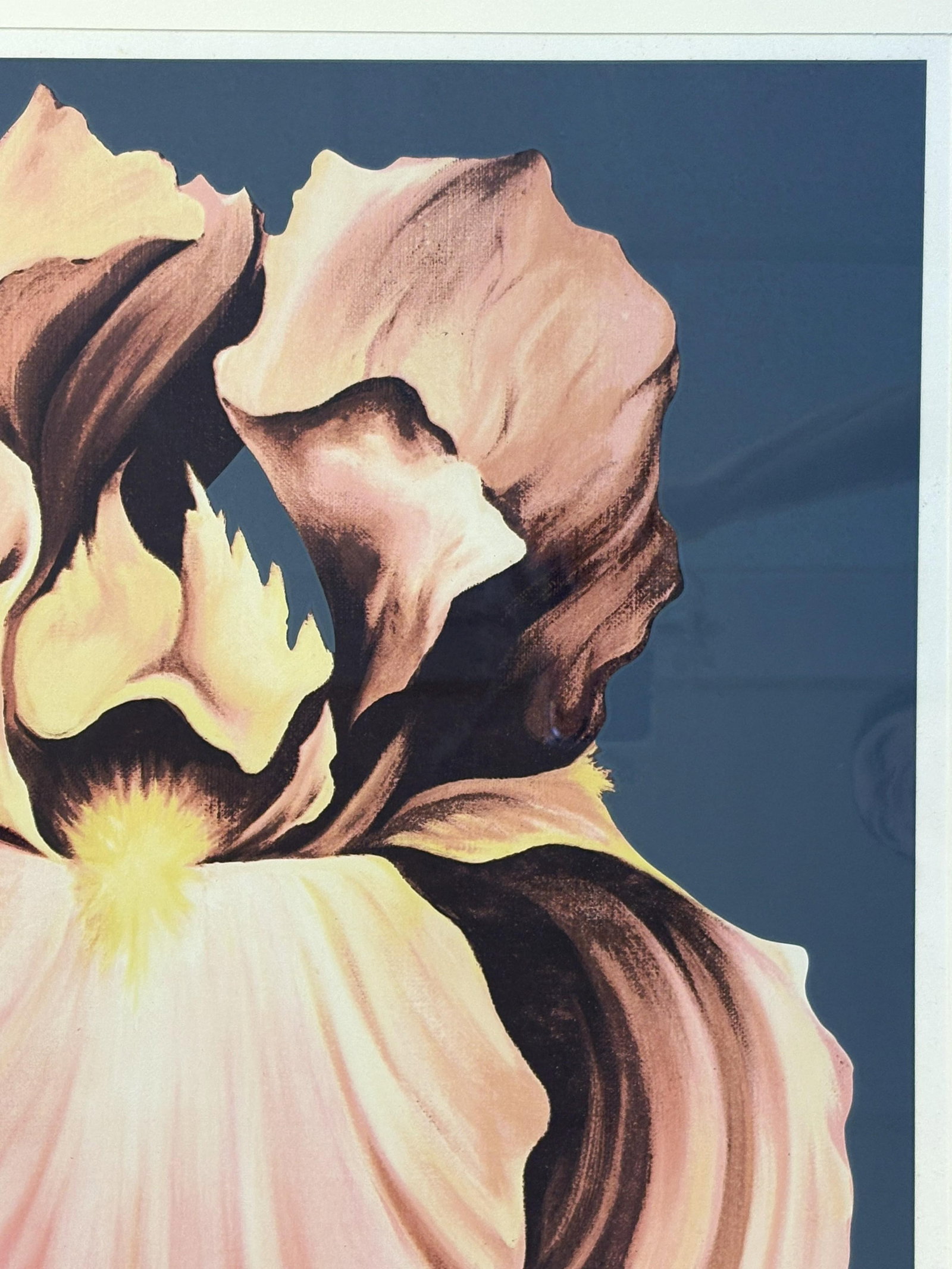 1978 Lowell Nesbitt 'Iris' Lithograph Pencil Signed, Numbered 23/30 and Framed - 7