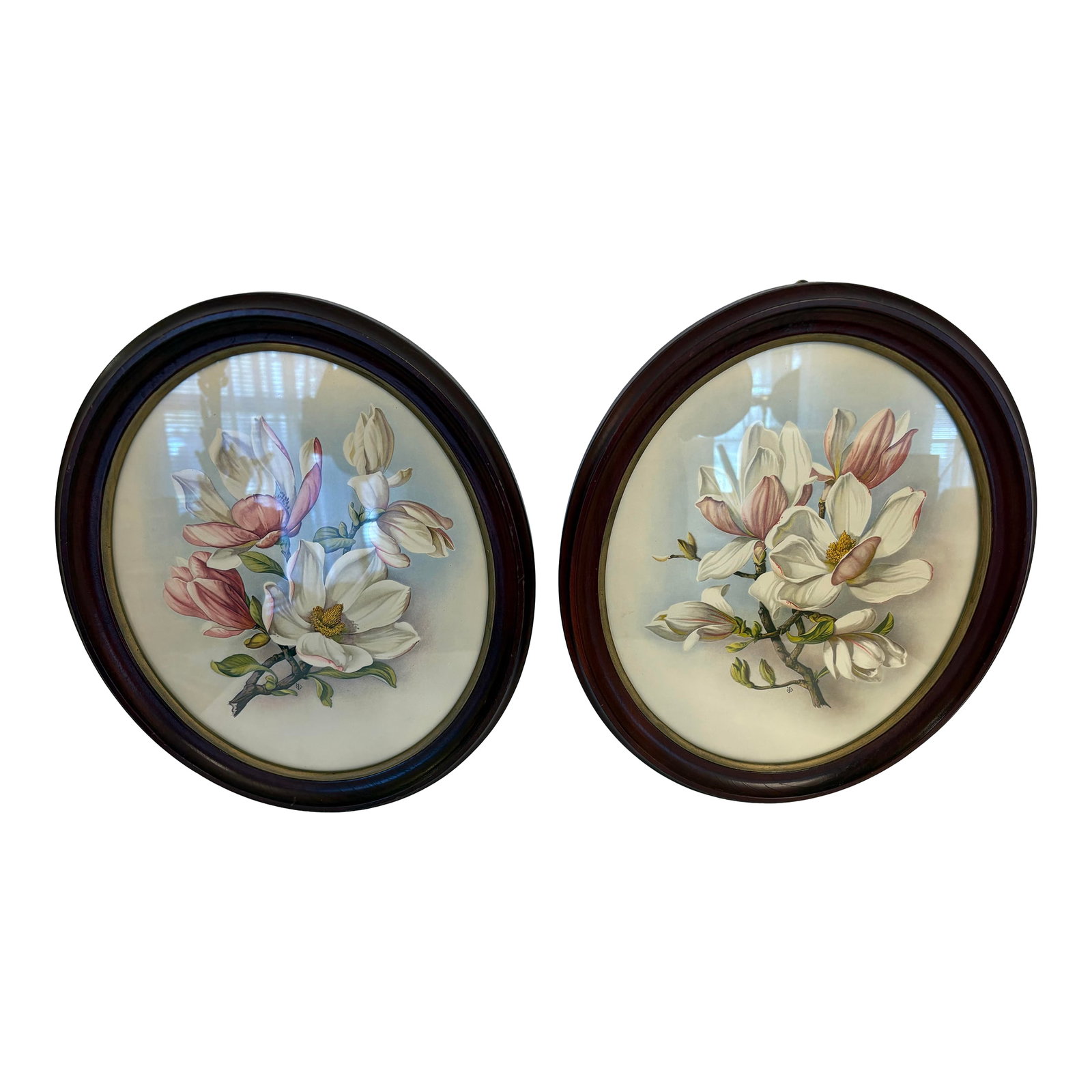1930s I. B. Fischer Magnolia Reproduction Prints, a Pair: The height of these IB Fischer magnolia prints are 14" and the wideth is 12" with the depth at 1"and they were reproduced in the 1930's. They are sold as a pair. I came into possession of them in the