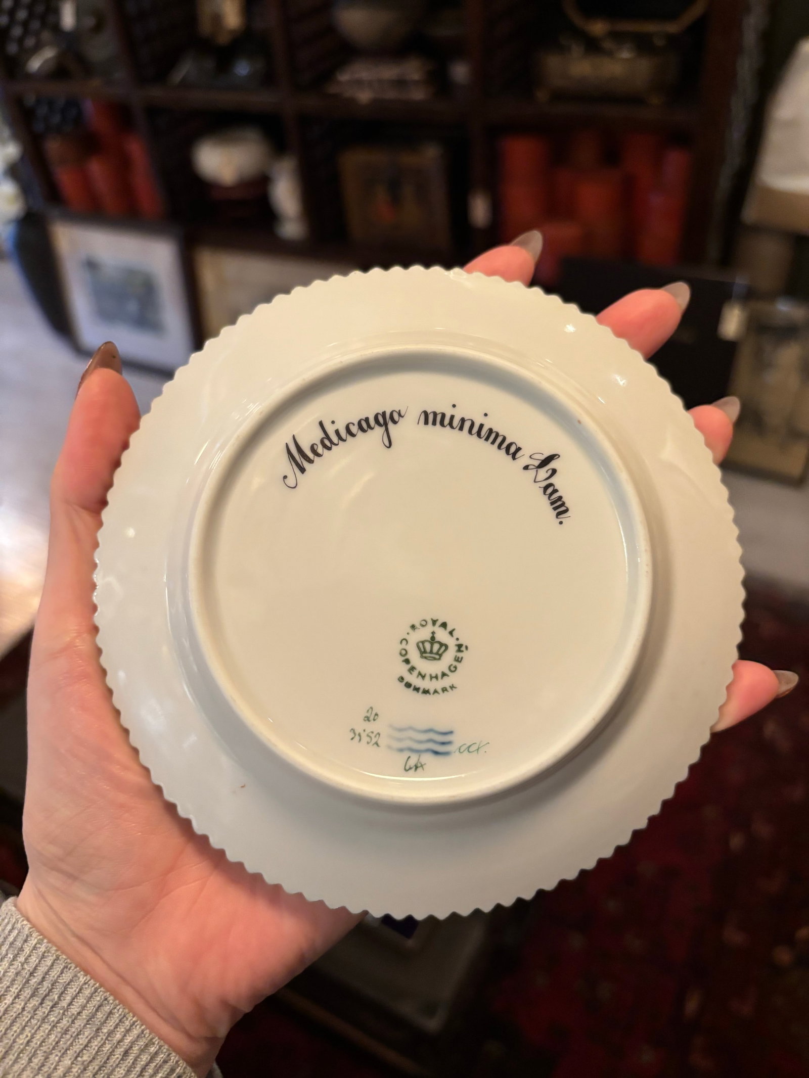 Rare Vintage Royal Copenhagen Flora Danica Porcelain Place Setting – Hand-Painted Botanical - 11