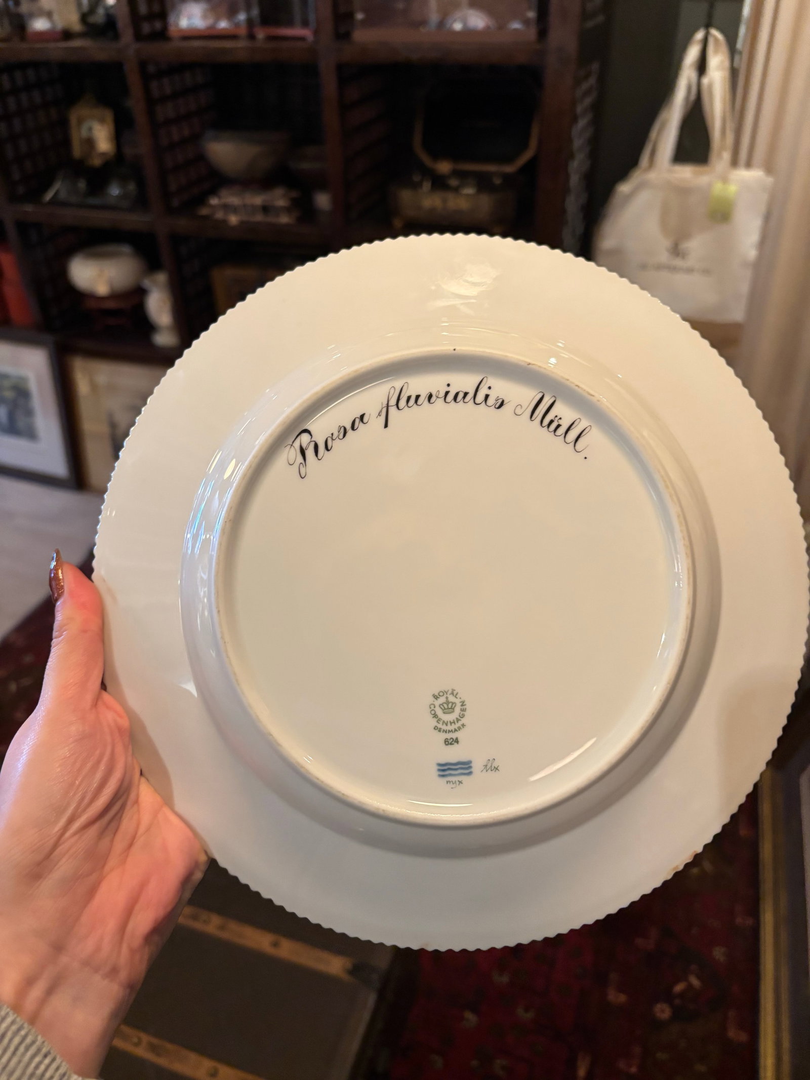 Rare Vintage Royal Copenhagen Flora Danica Porcelain Place Setting – Hand-Painted Botanical - 3