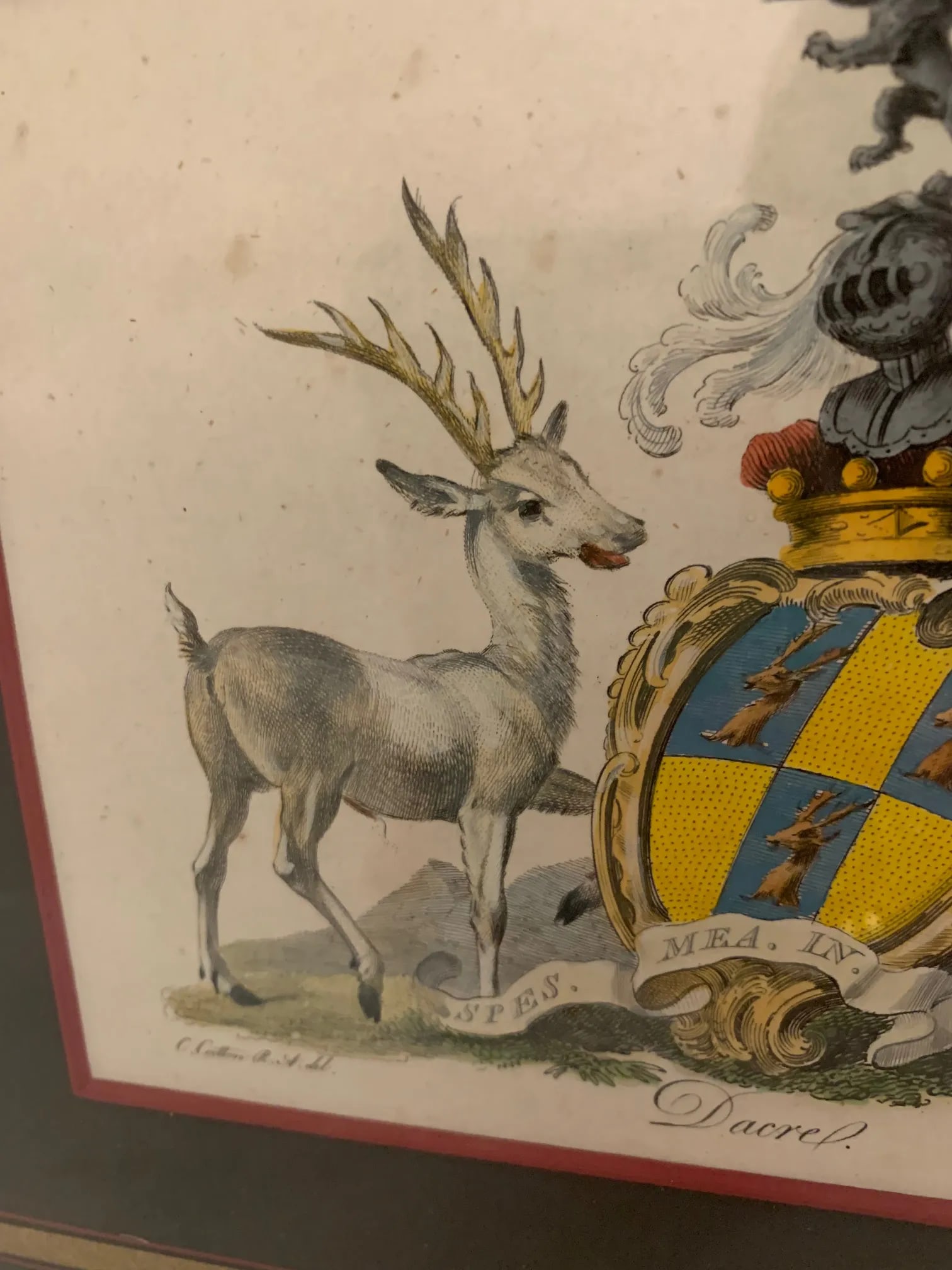 Colored Etchings With Royal Shield Motife -A Pair - 4